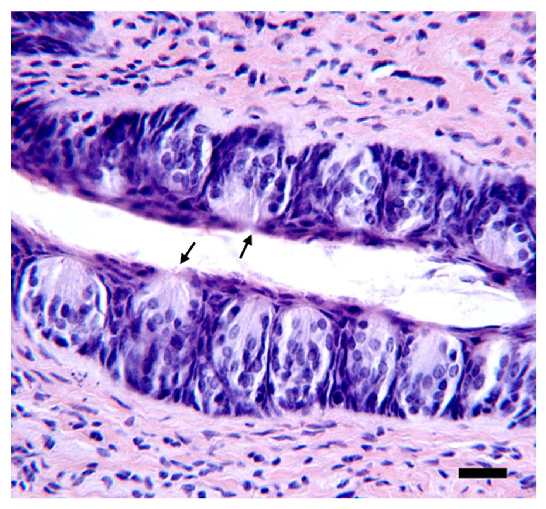 Nutrients 14 00877 g002