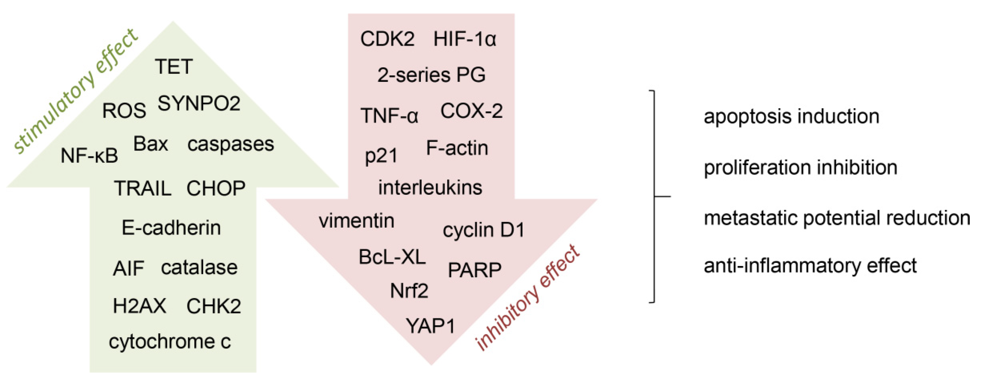 Nutrients 14 00882 g002 Nutrients 14 00882 g002