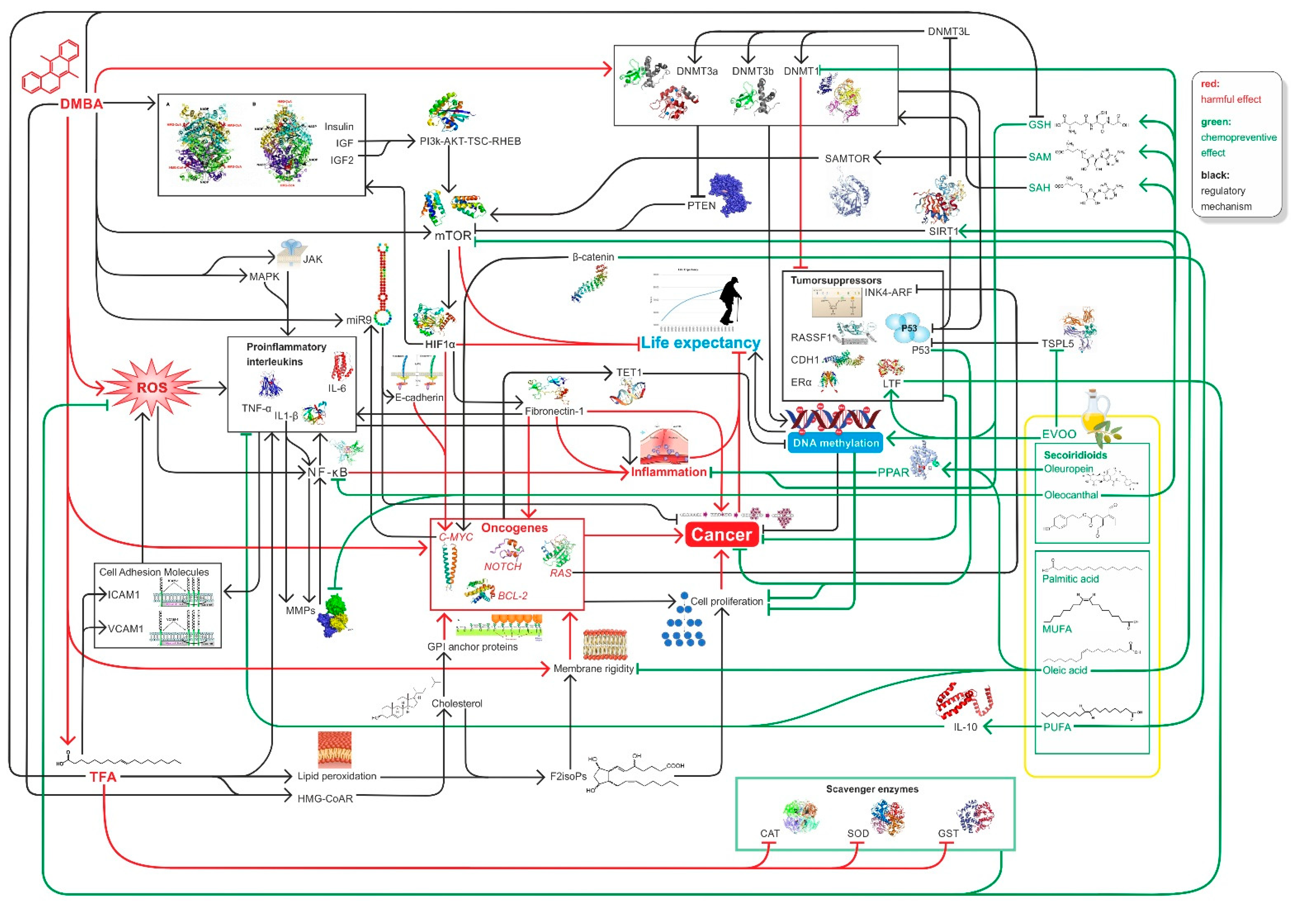 Nutrients 14 00908 g004 Nutrients 14 00908 g004