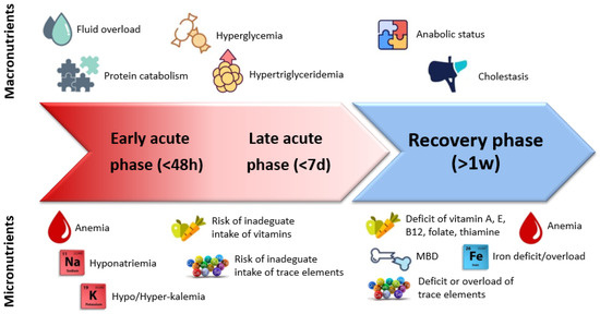 Nutrients 14 00919 g001 550