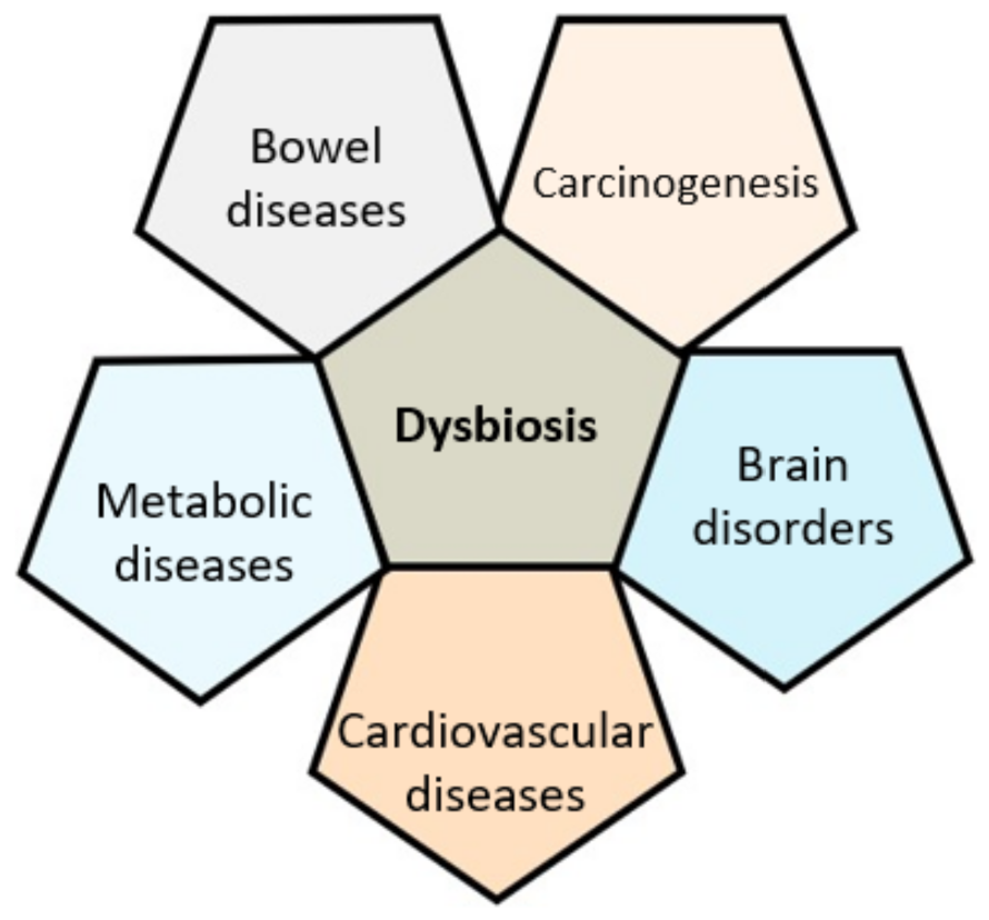 Nutrients 14 00924 g001