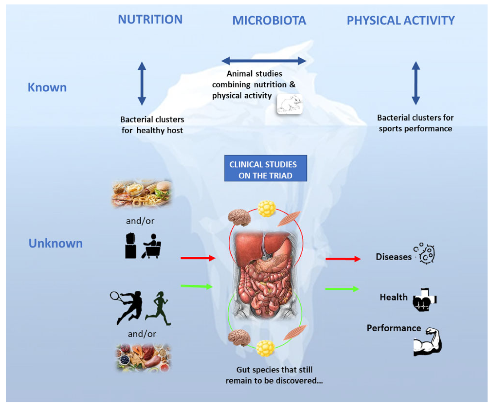 Nutrients 14 00924 g003