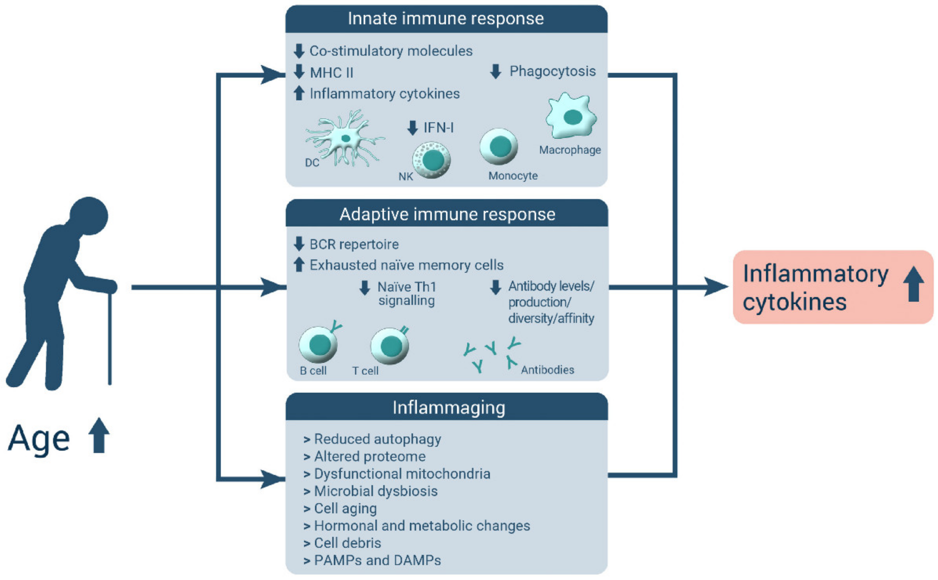 Nutrients 14 00949 g001