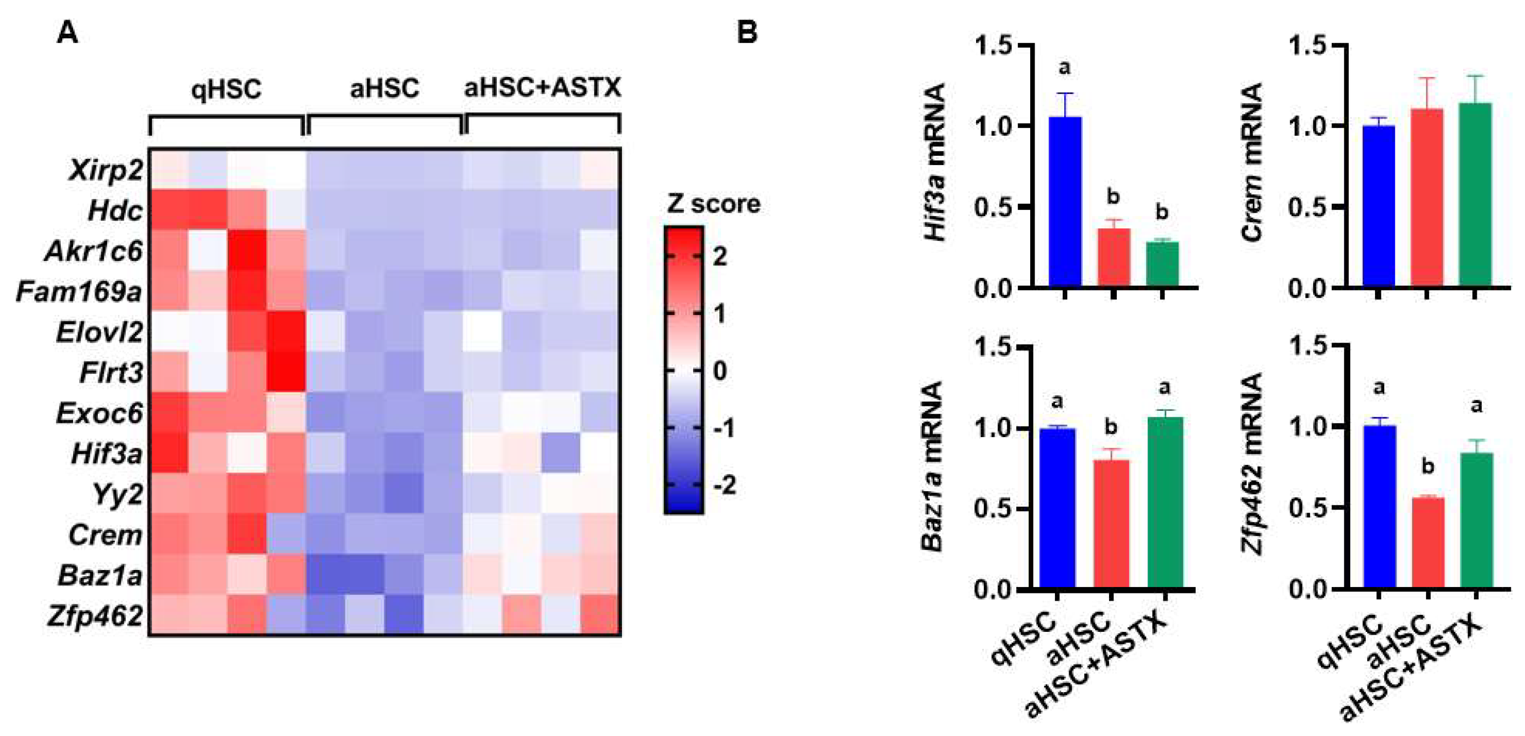 Nutrients 14 00962 g004