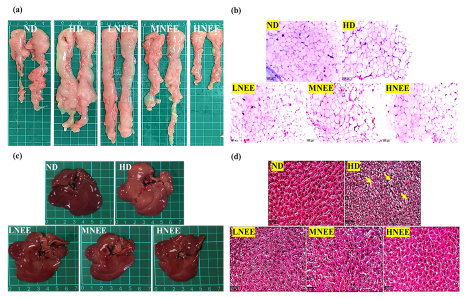 Nutrients 14 00968 g005