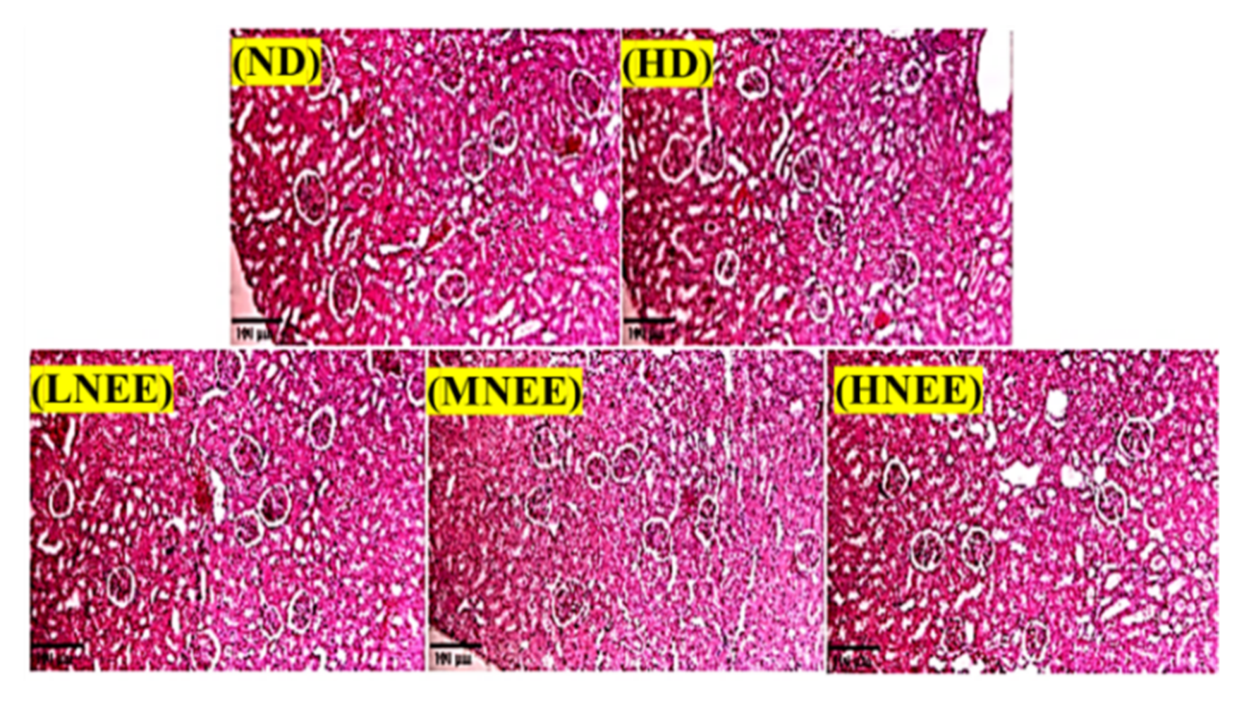 Nutrients 14 00968 g006