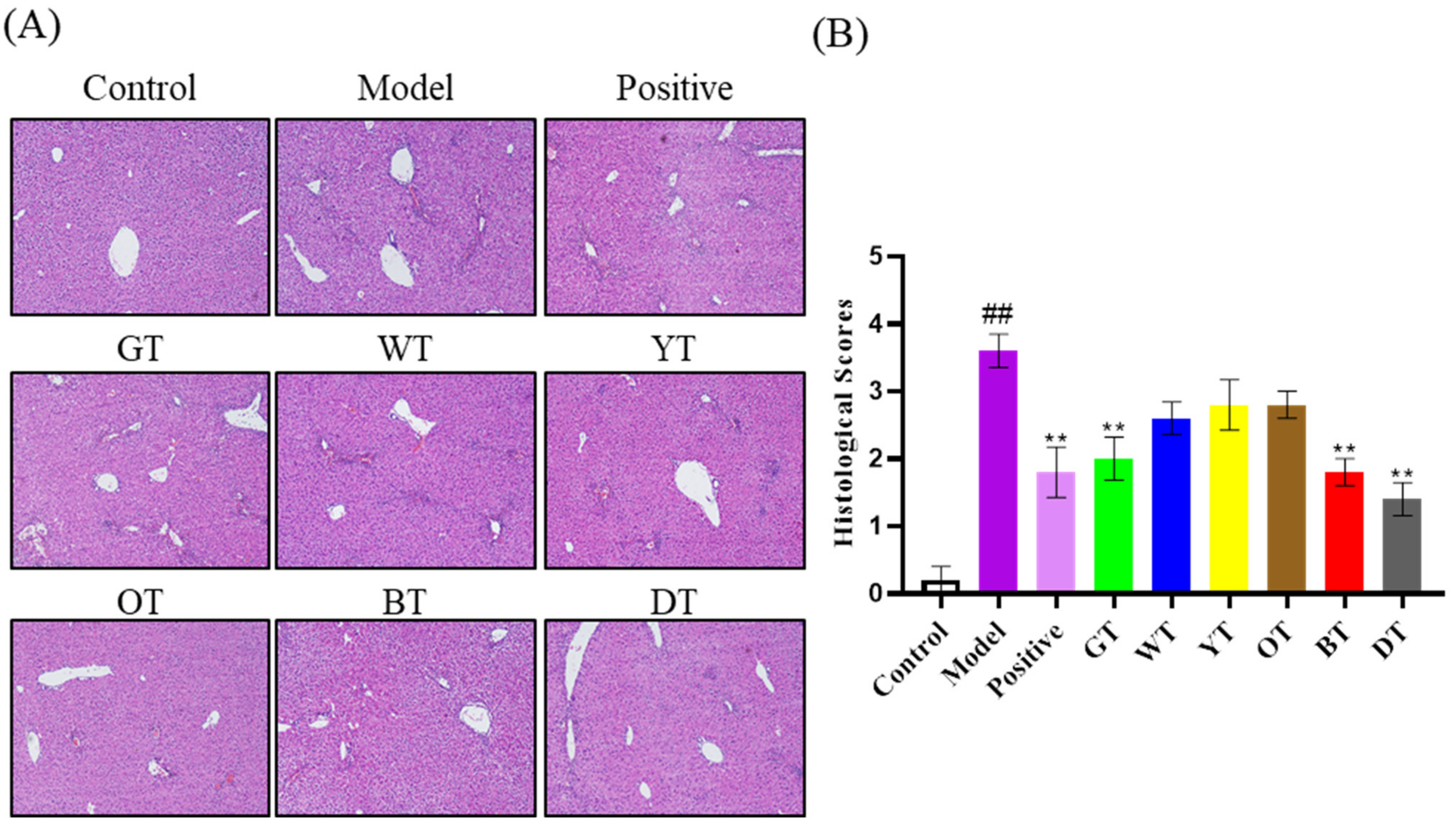 Nutrients 14 00972 g004 Nutrients 14 00972 g004