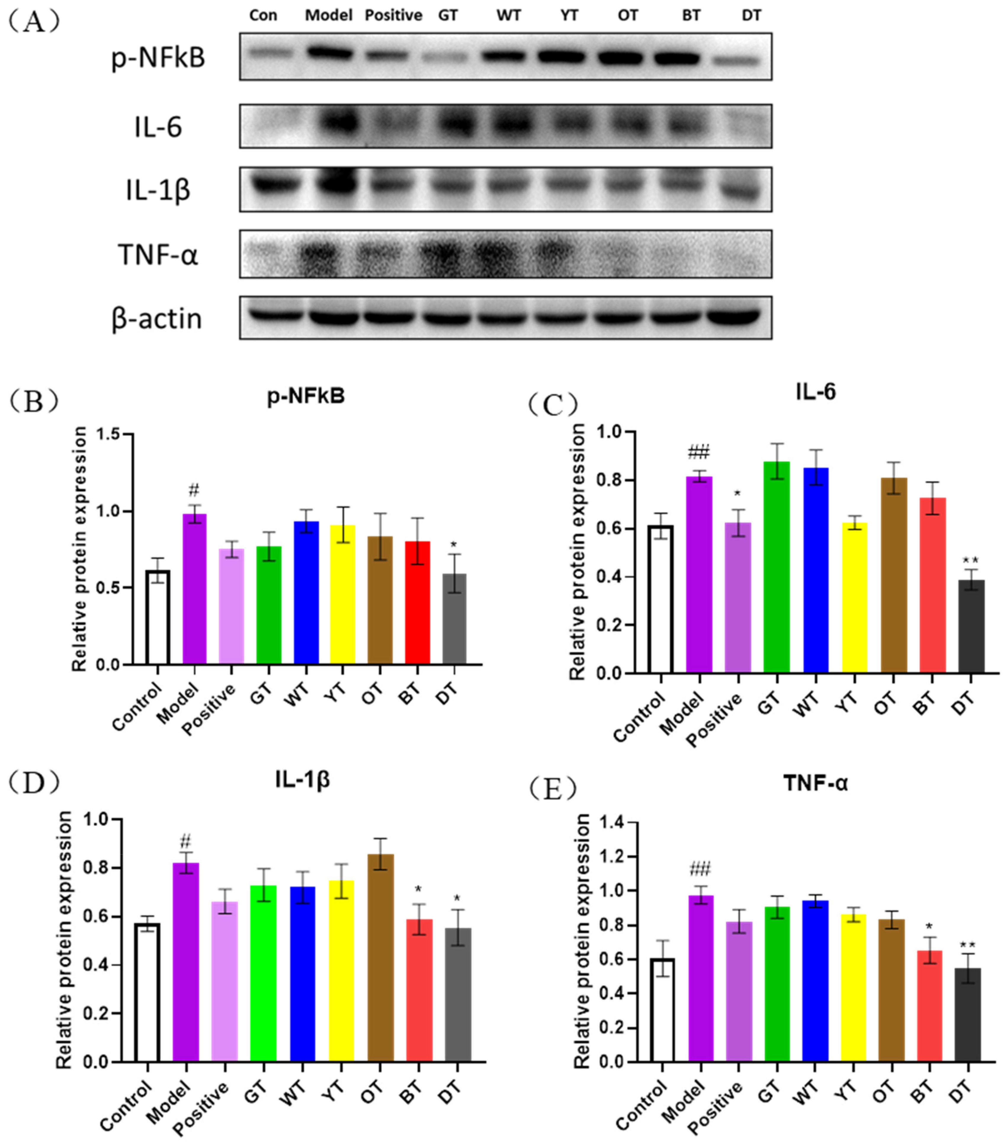 Nutrients 14 00972 g005 Nutrients 14 00972 g005