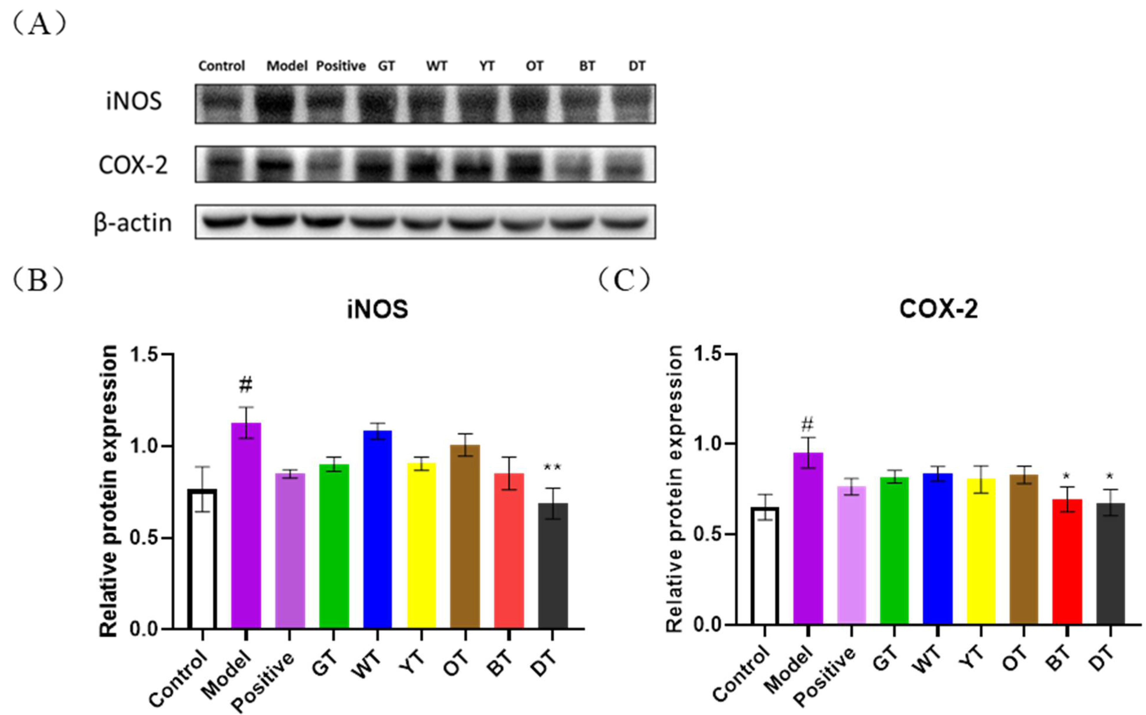 Nutrients 14 00972 g006 Nutrients 14 00972 g006