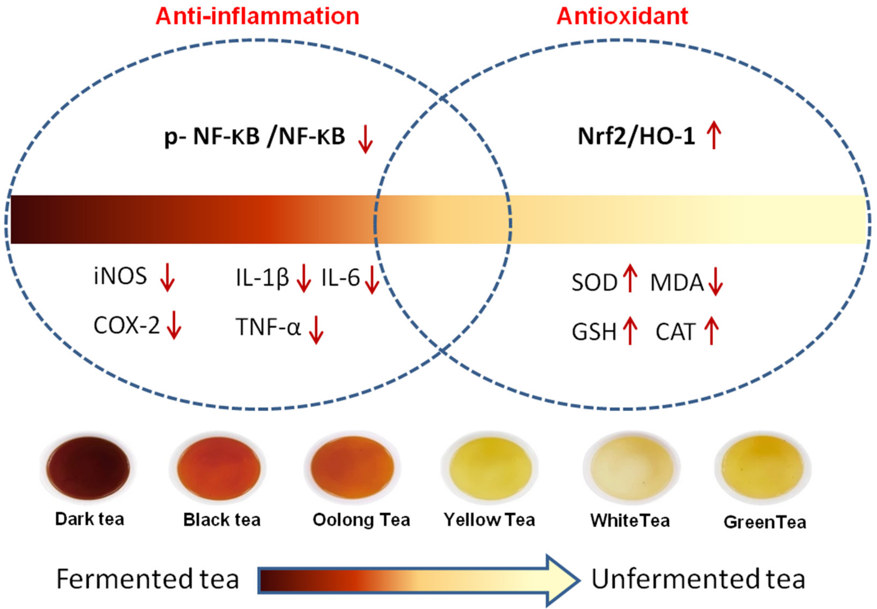 Nutrients 14 00972 g009 Nutrients 14 00972 g009