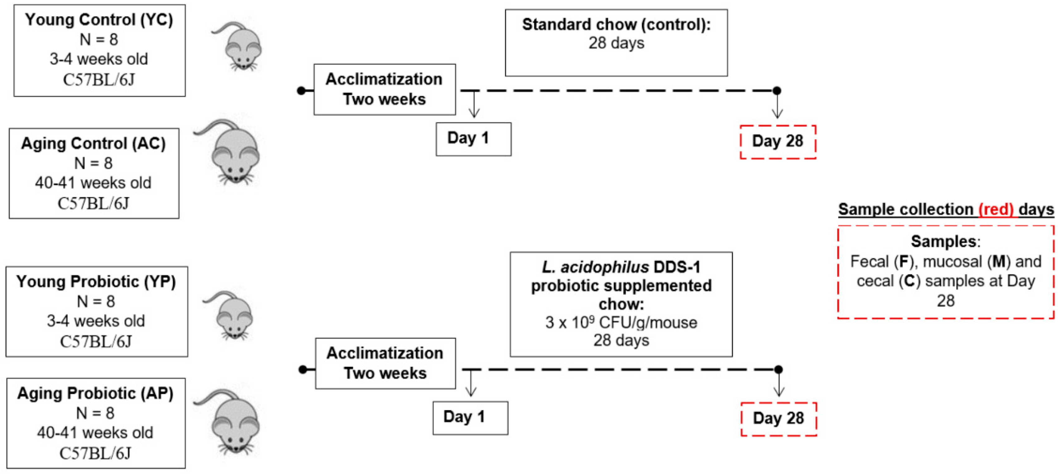 Nutrients 14 00977 g001