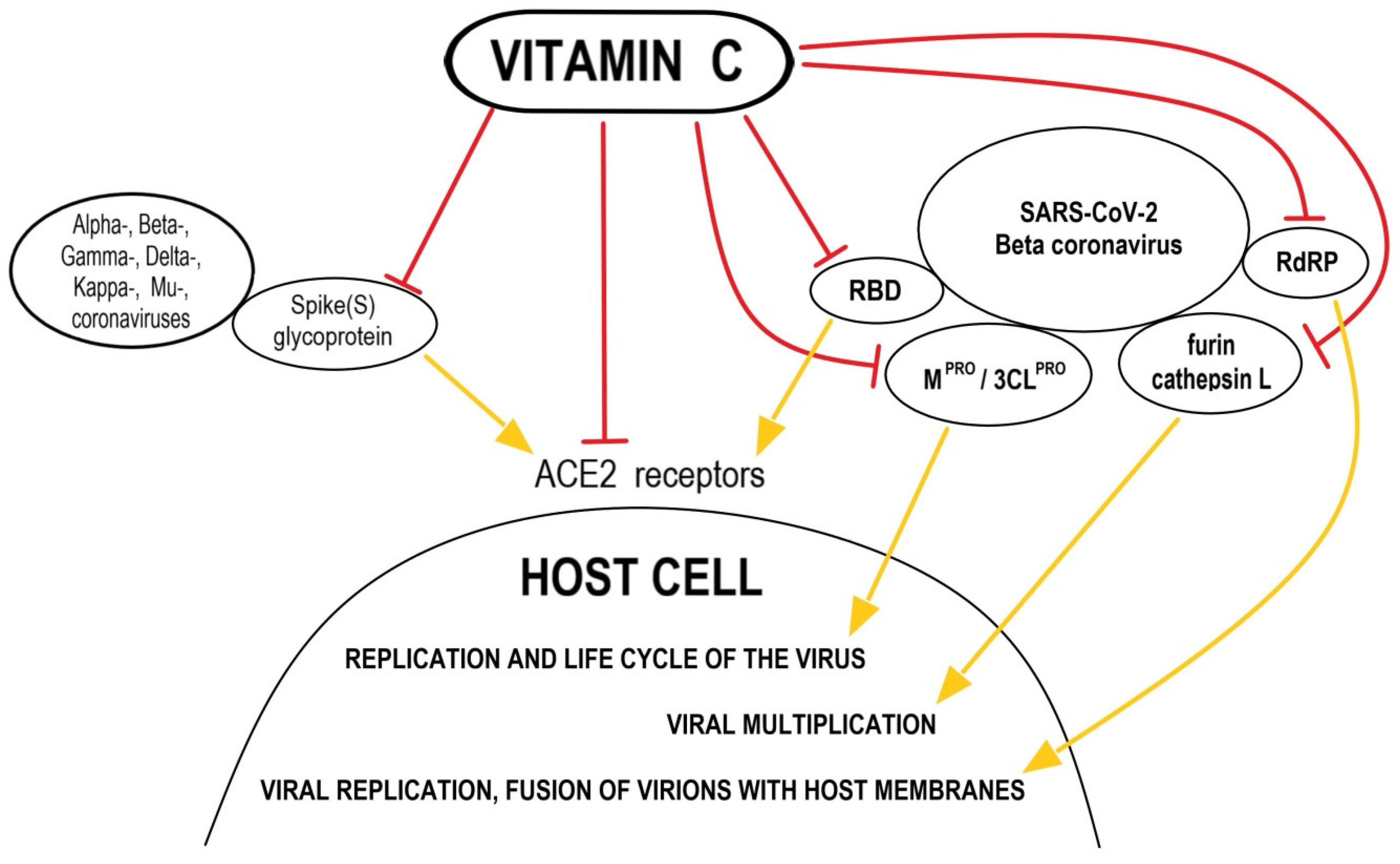 Nutrients 14 00979 g001