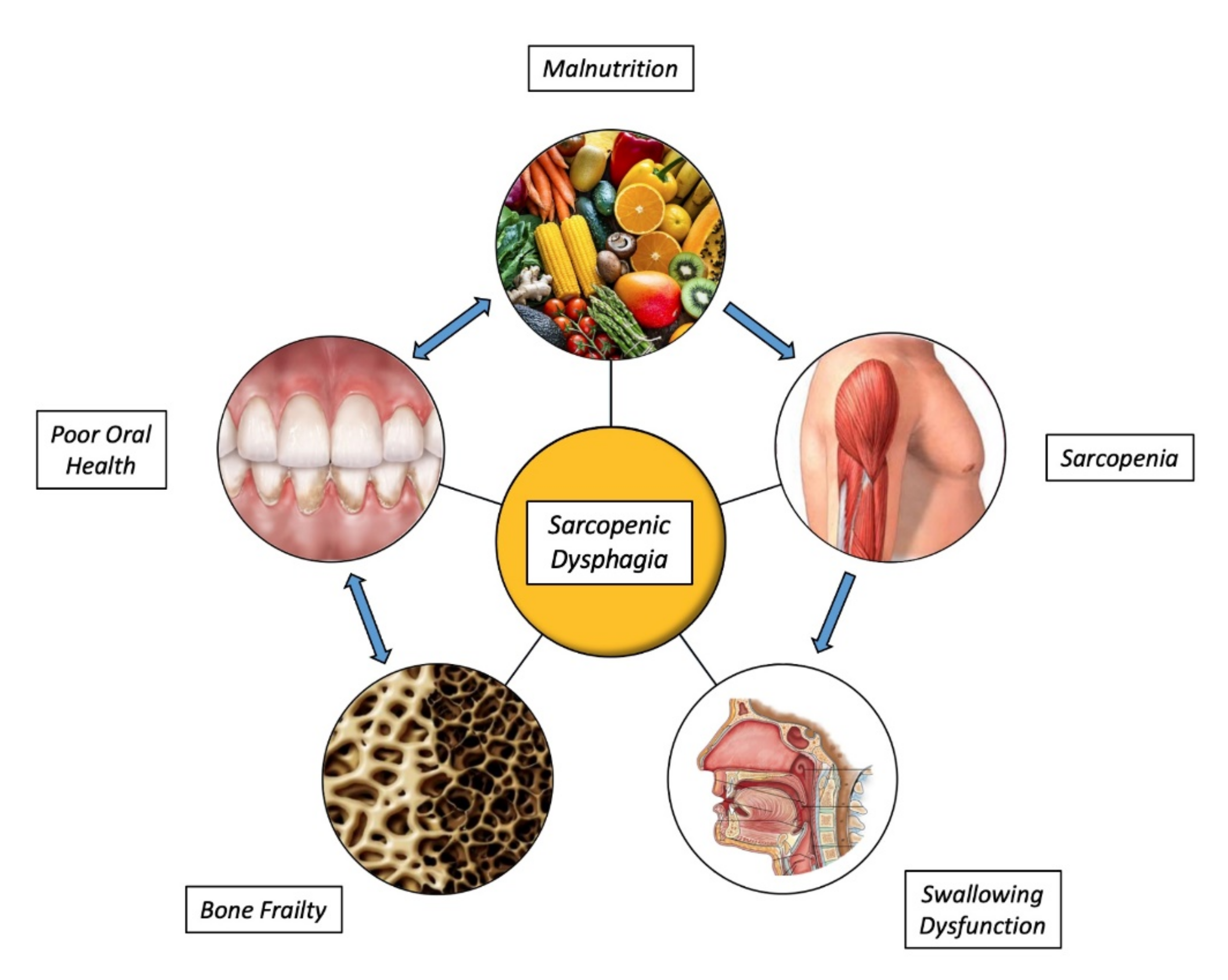 Nutrients 14 00982 g001