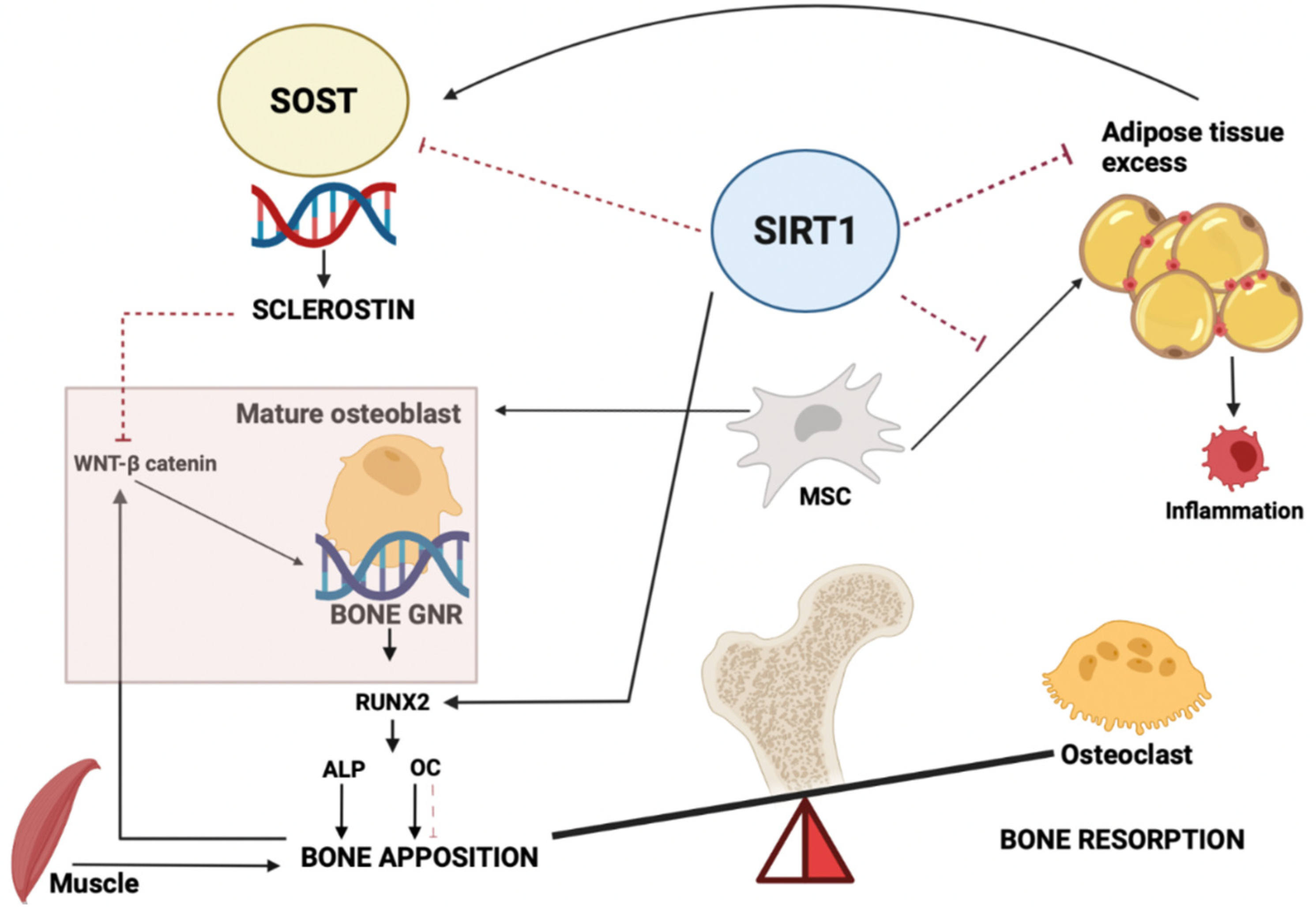 Nutrients 14 00983 g003 Nutrients 14 00983 g003