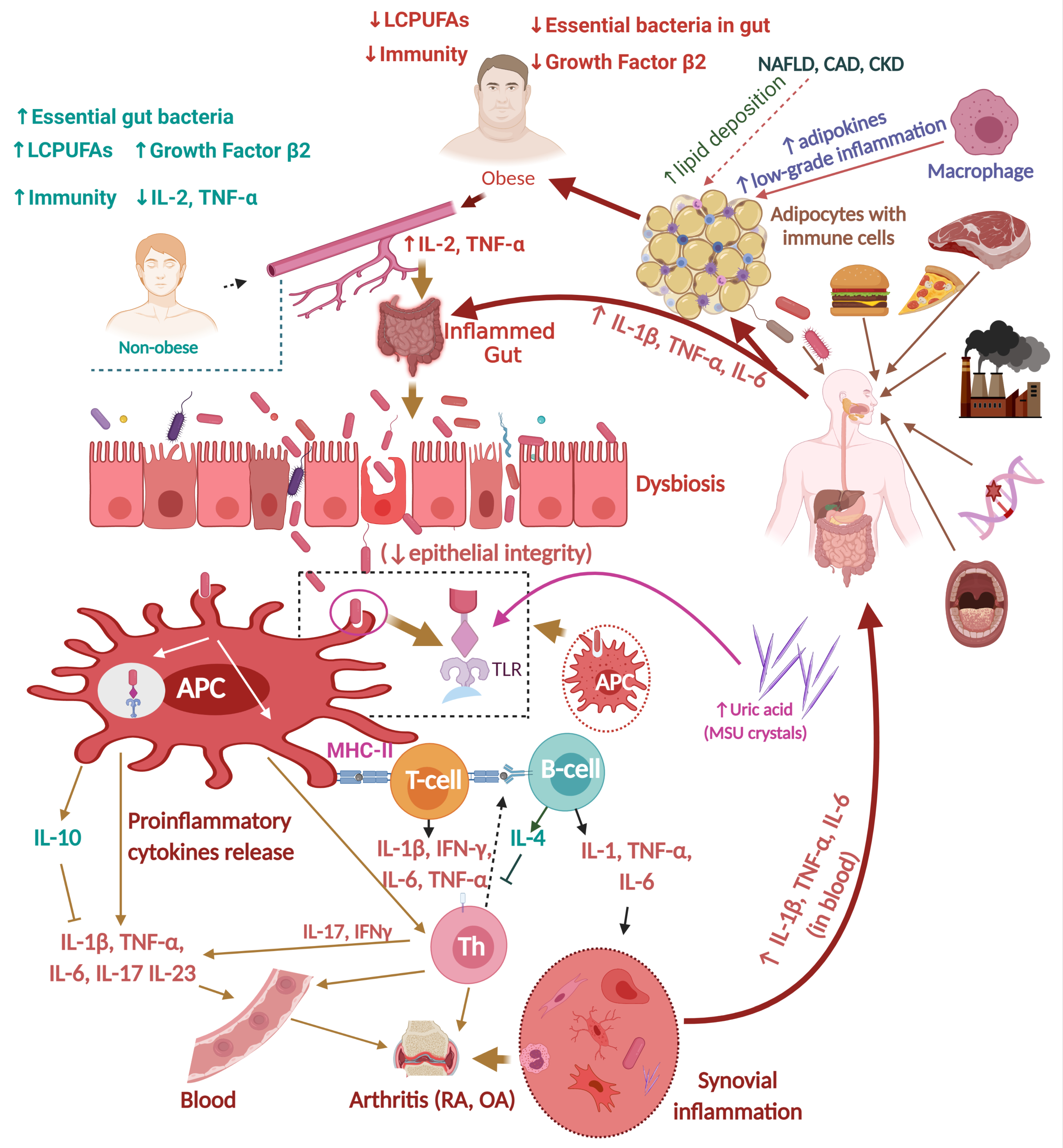 Nutrients 14 00985 g001