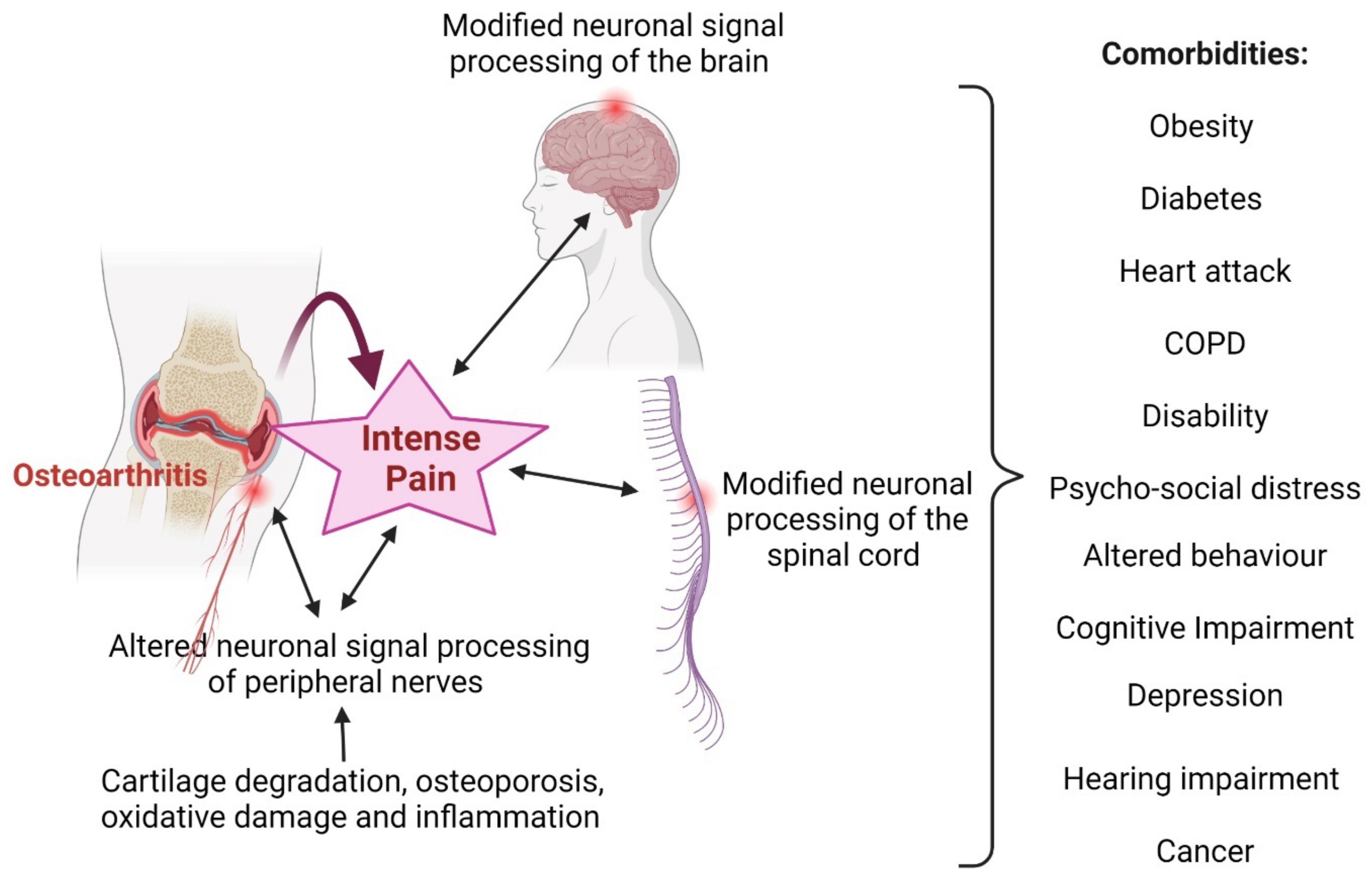 Nutrients 14 00985 g002