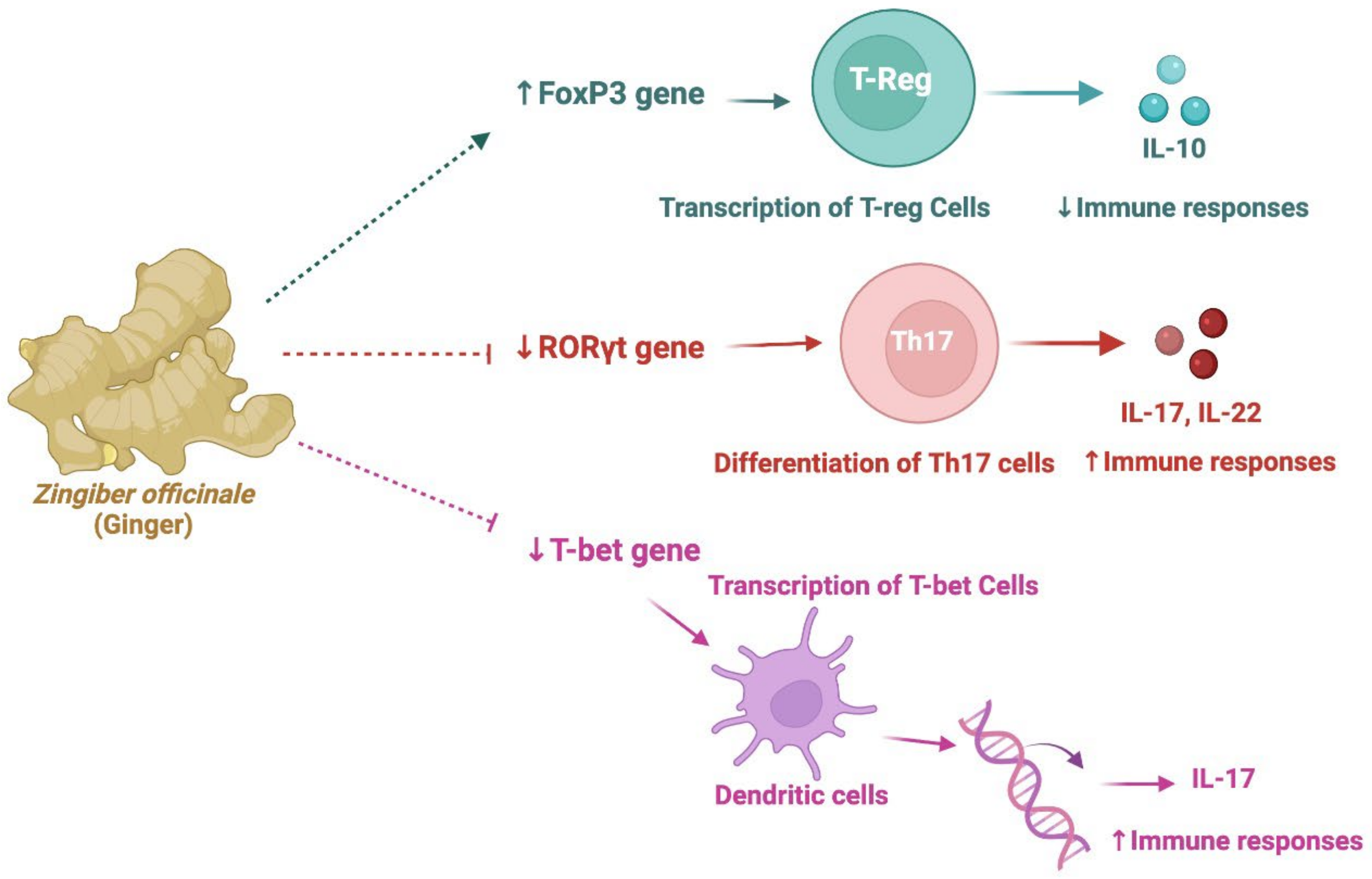 Nutrients 14 00985 g006