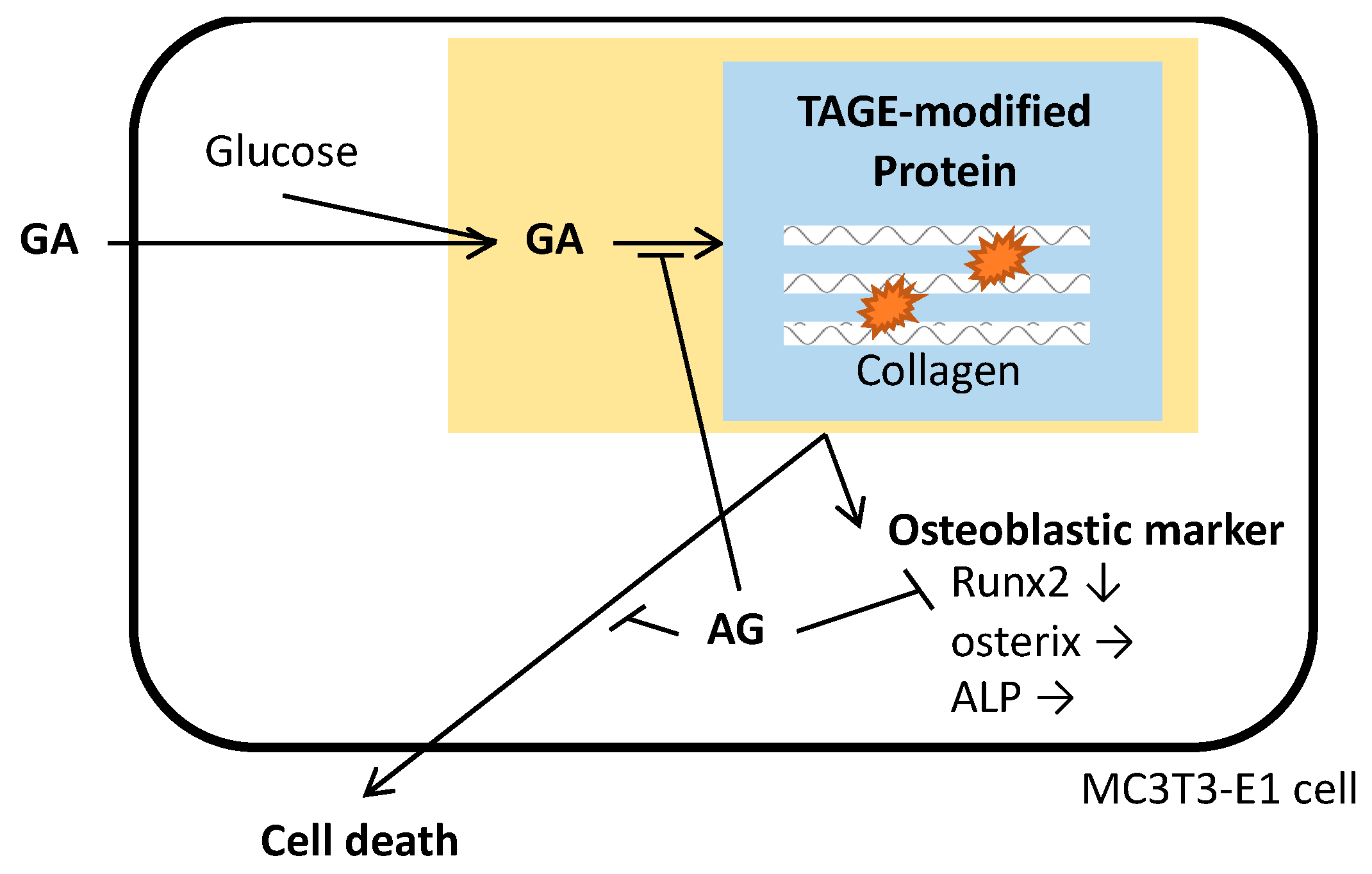 Nutrients 14 00990 g004