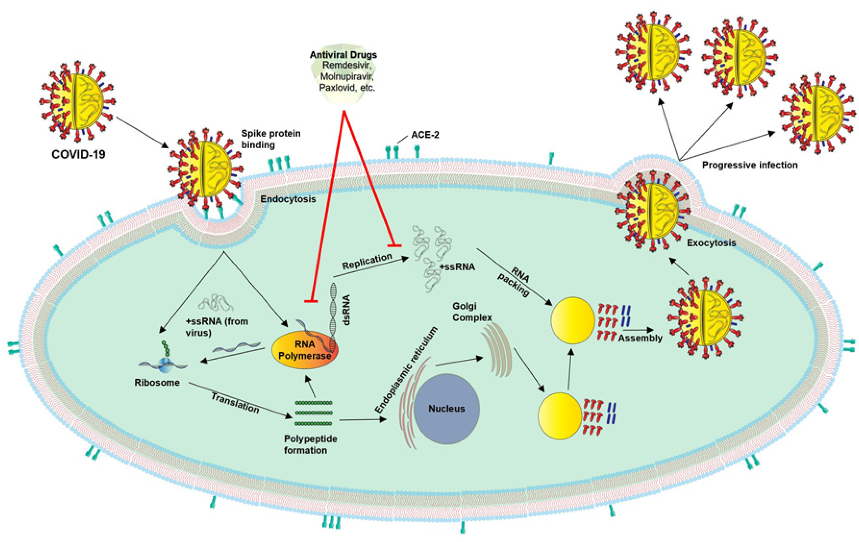 Nutrients 14 01004 g005