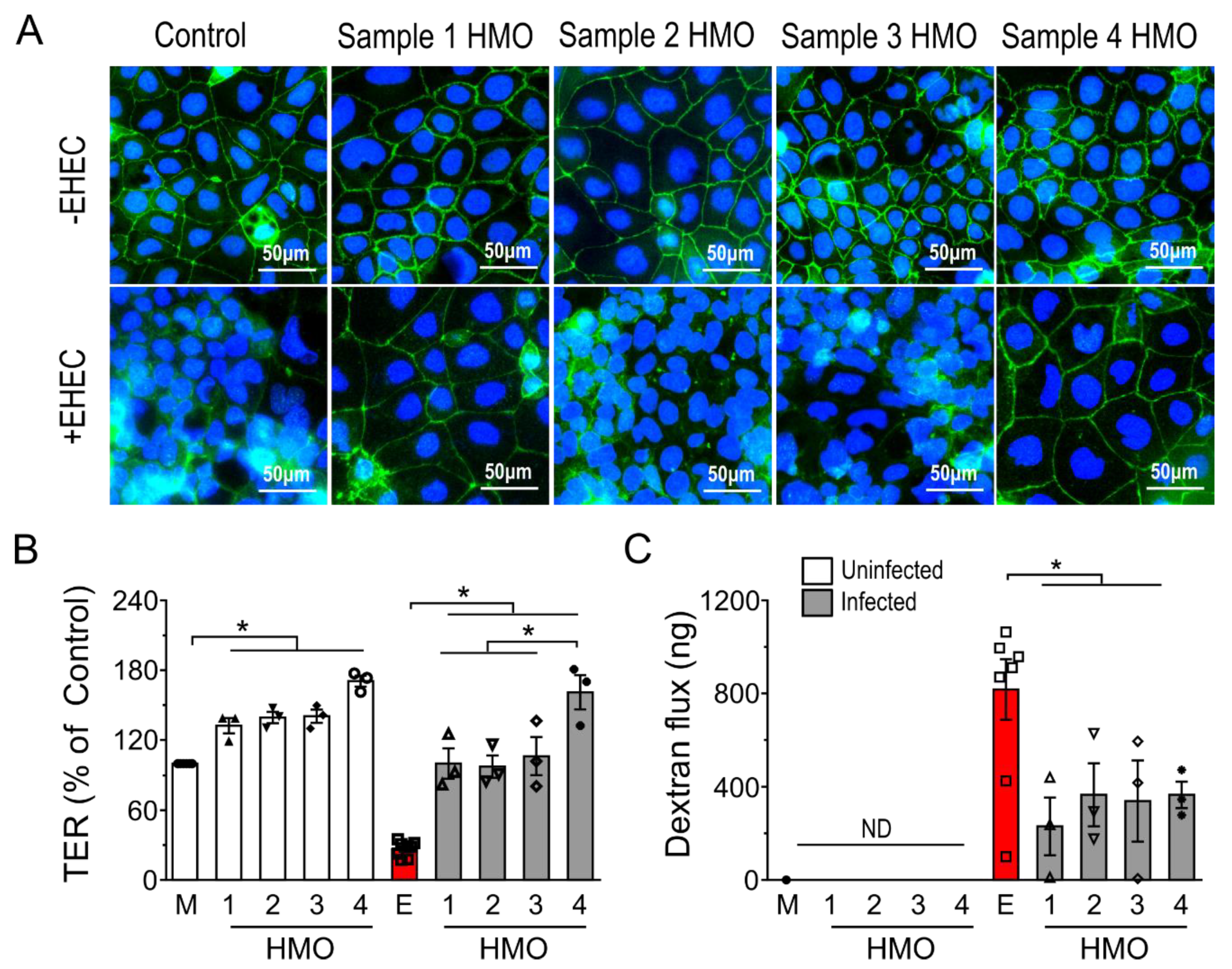 Nutrients 14 01014 g002