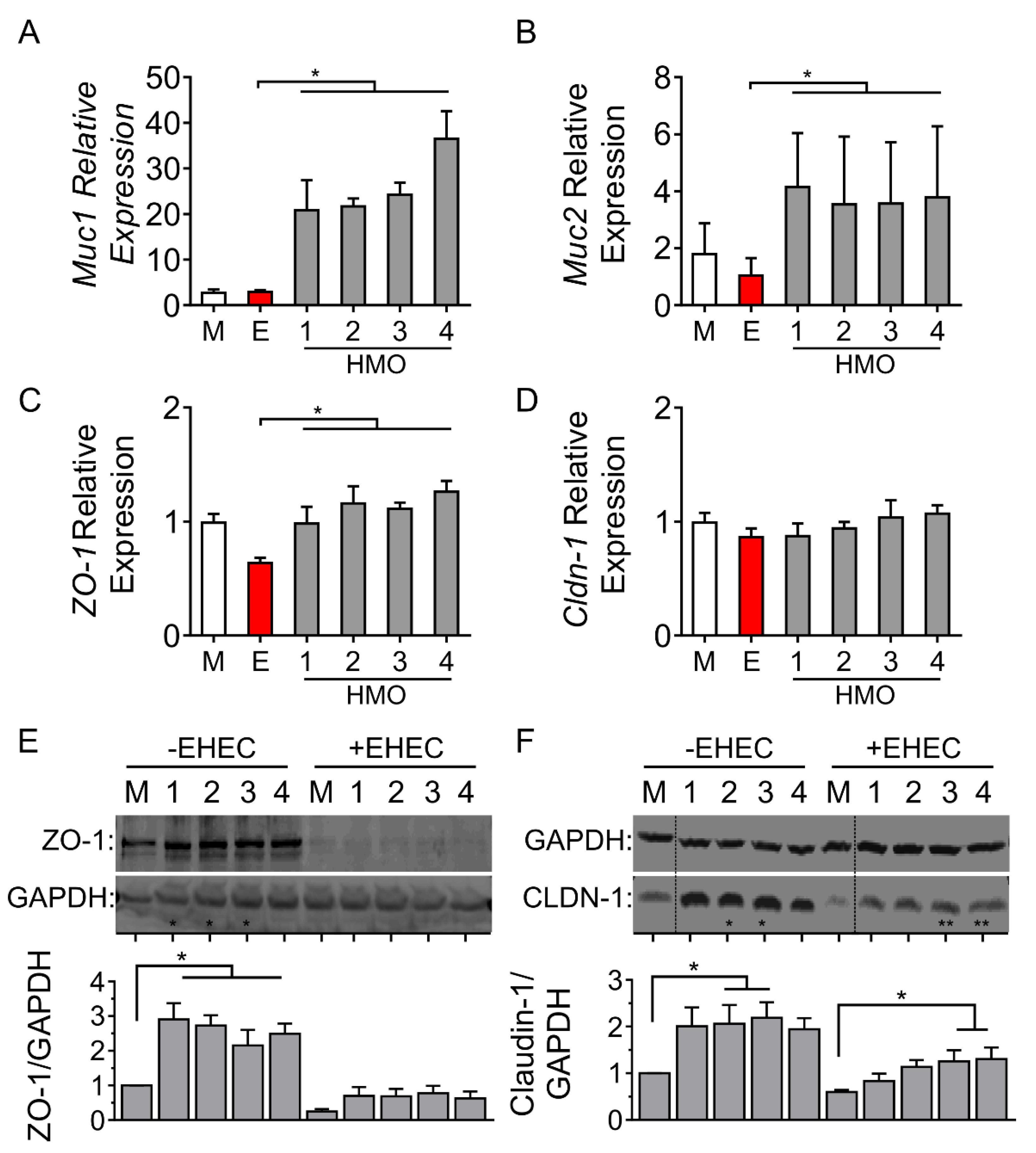 Nutrients 14 01014 g003