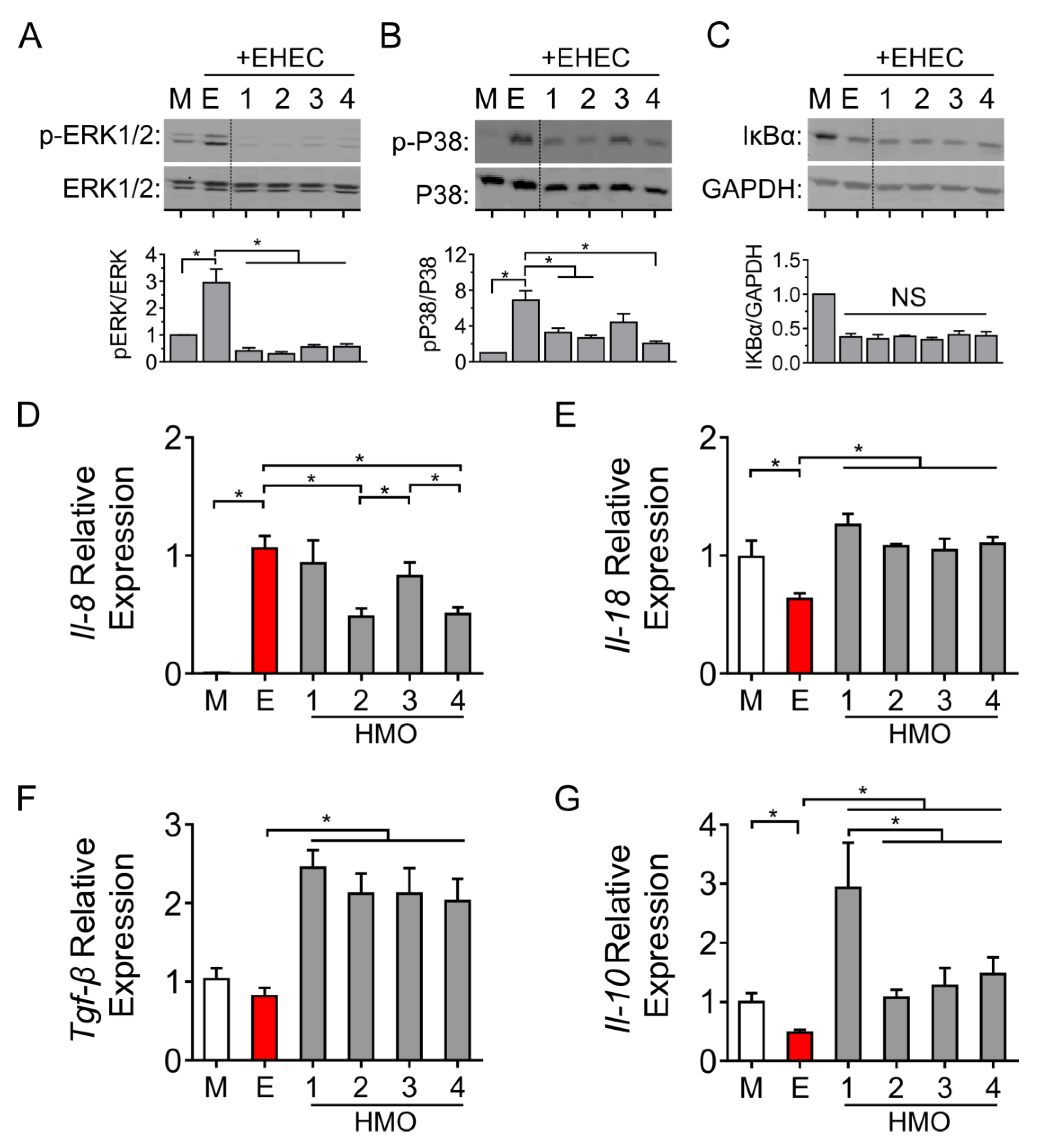 Nutrients 14 01014 g004