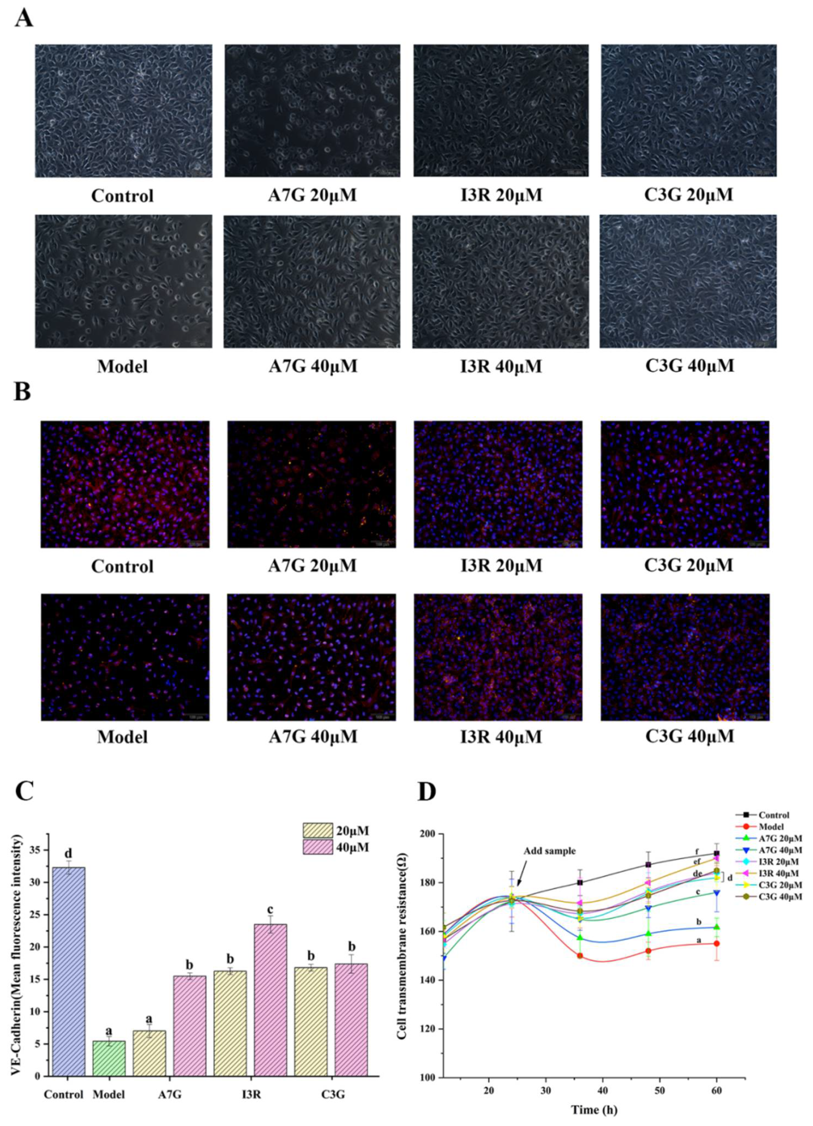 Nutrients 14 01026 g005