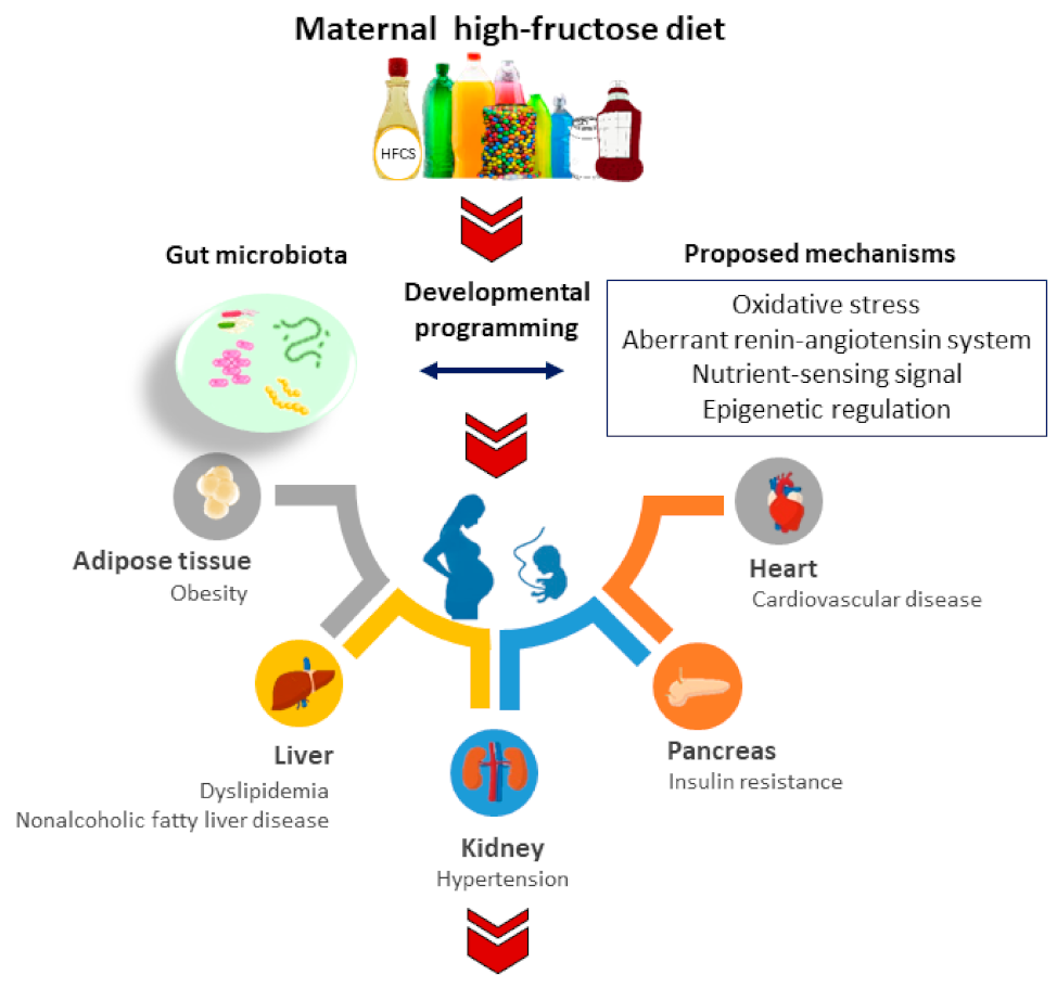 Nutrients 14 01031 g001