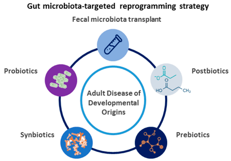 Nutrients 14 01031 g002