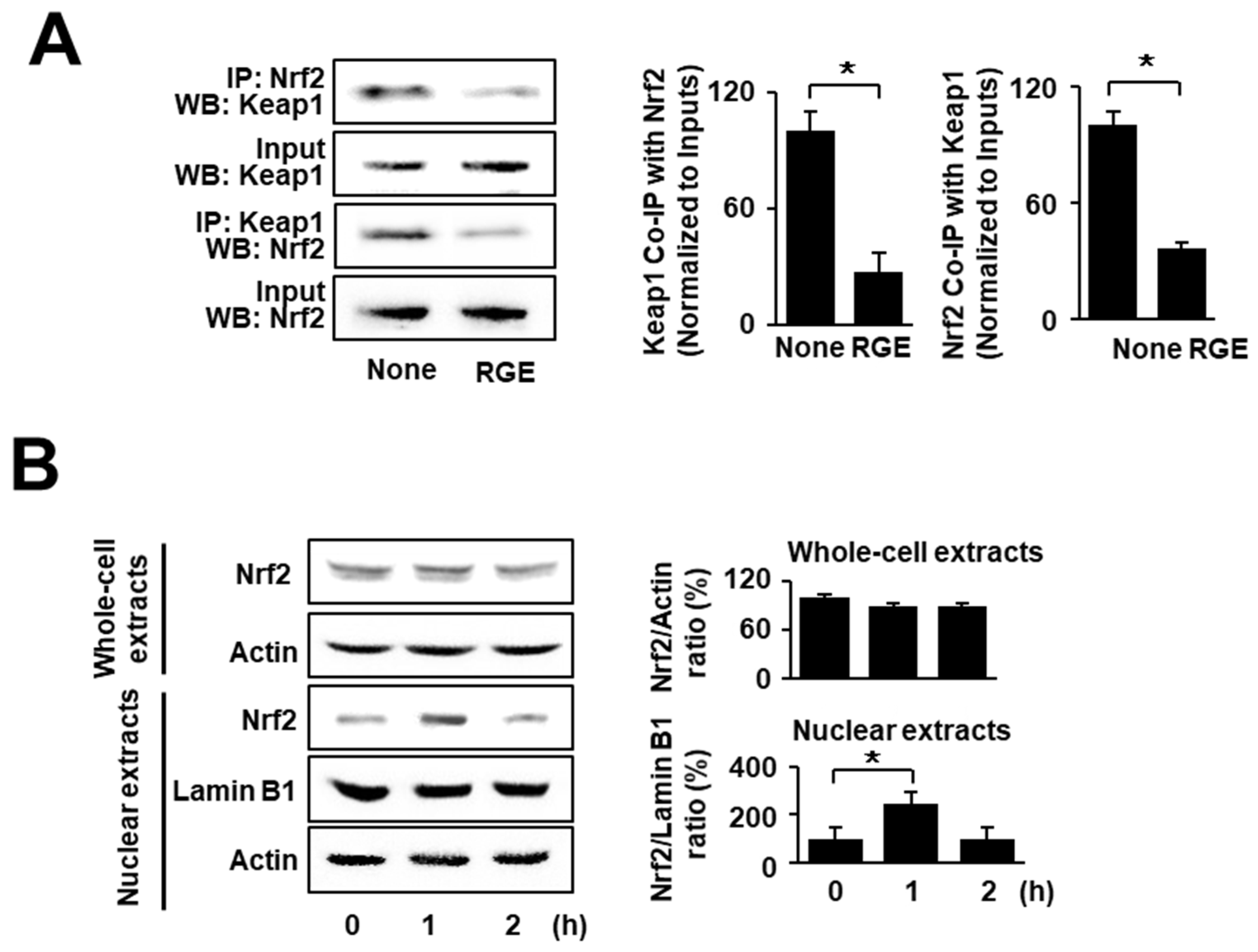 Nutrients 14 01044 g001 Nutrients 14 01044 g001