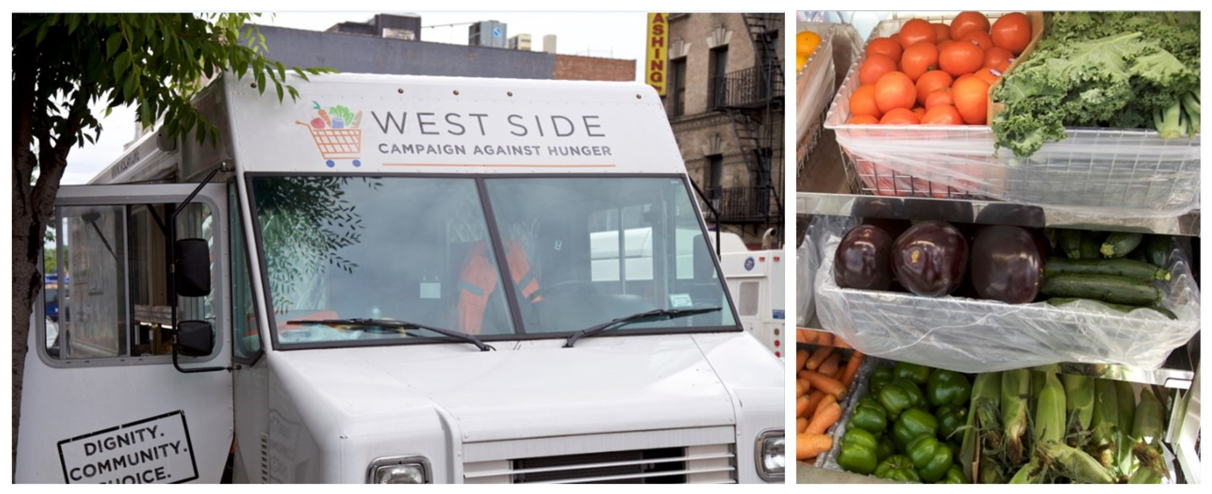 Nutrients 14 01059 g001