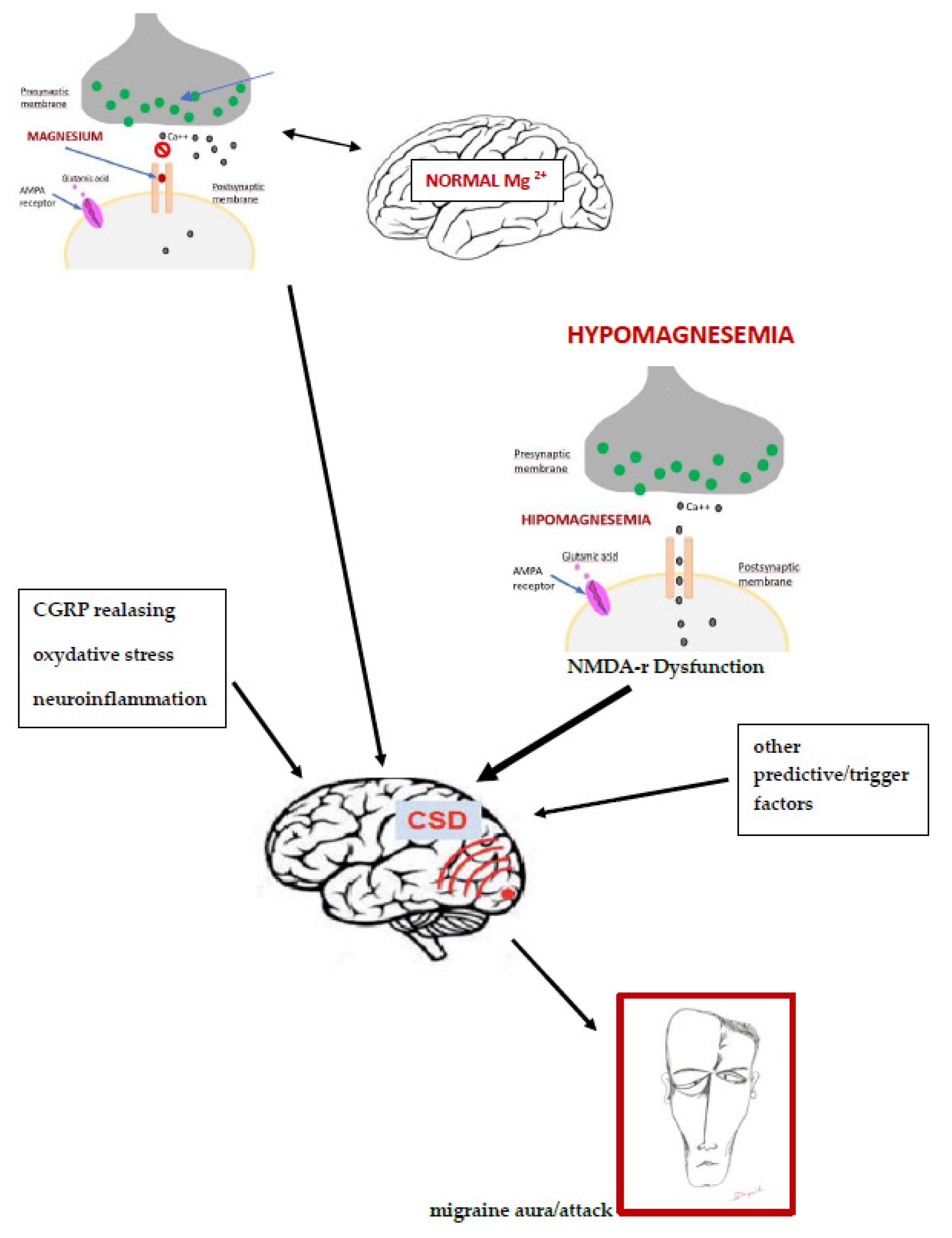 Nutrients 14 01089 g001