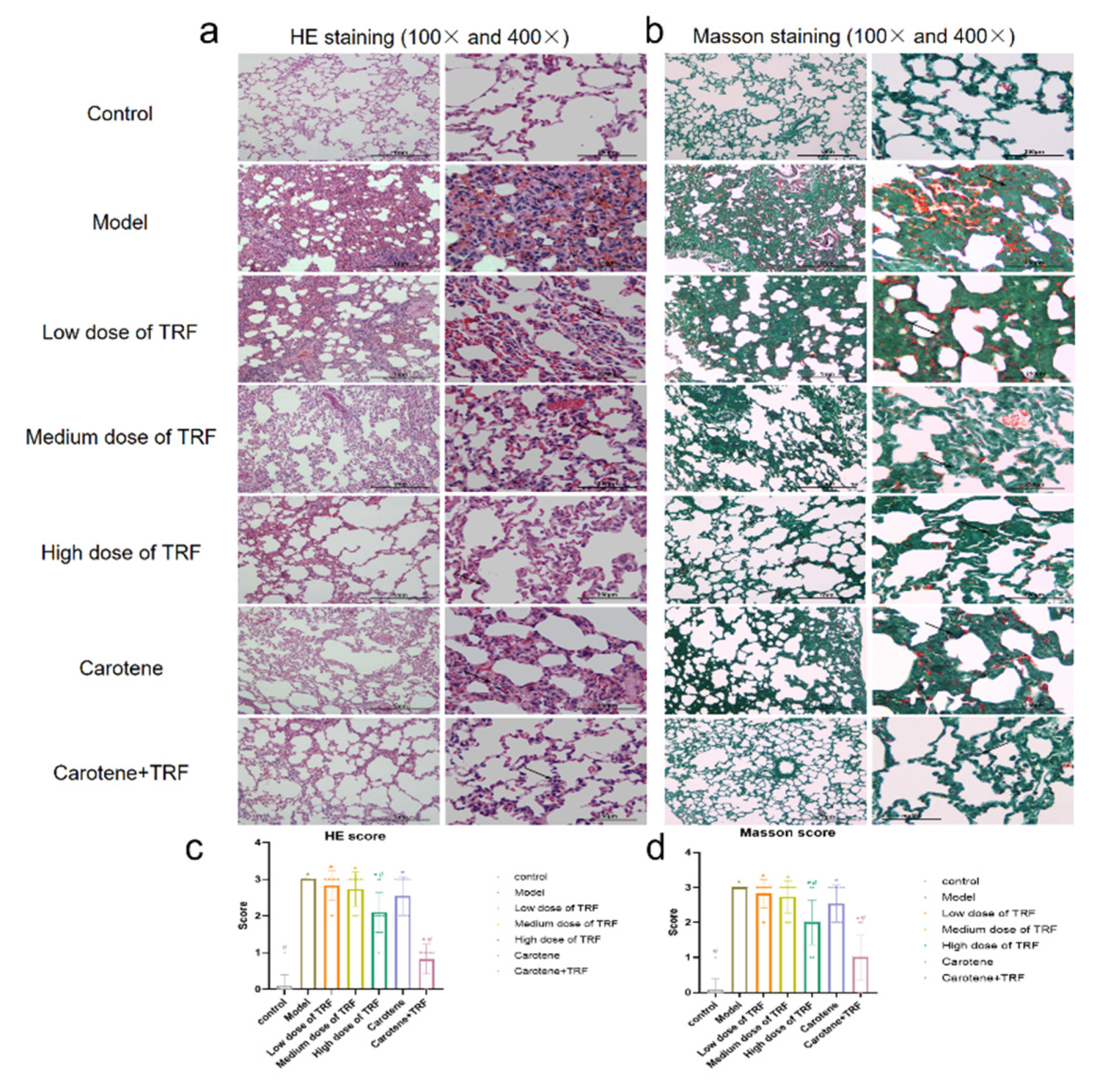 Nutrients 14 01094 g002