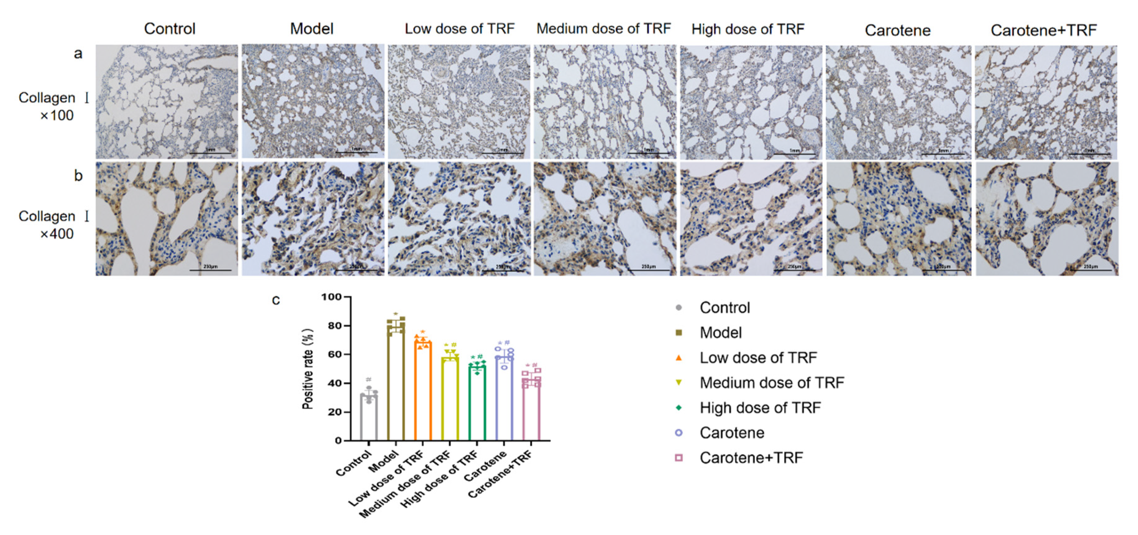 Nutrients 14 01094 g003