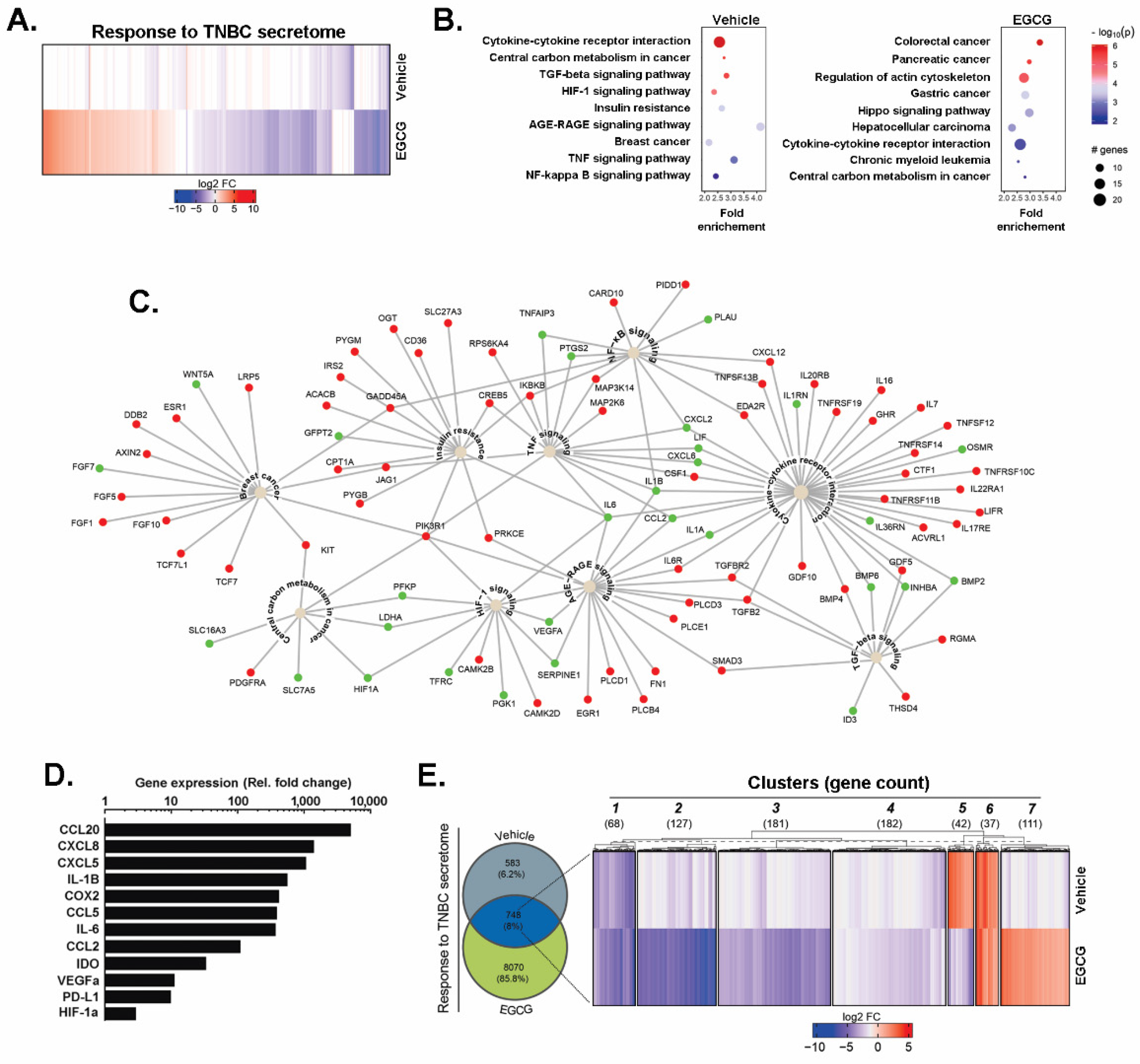 Nutrients 14 01099 g001