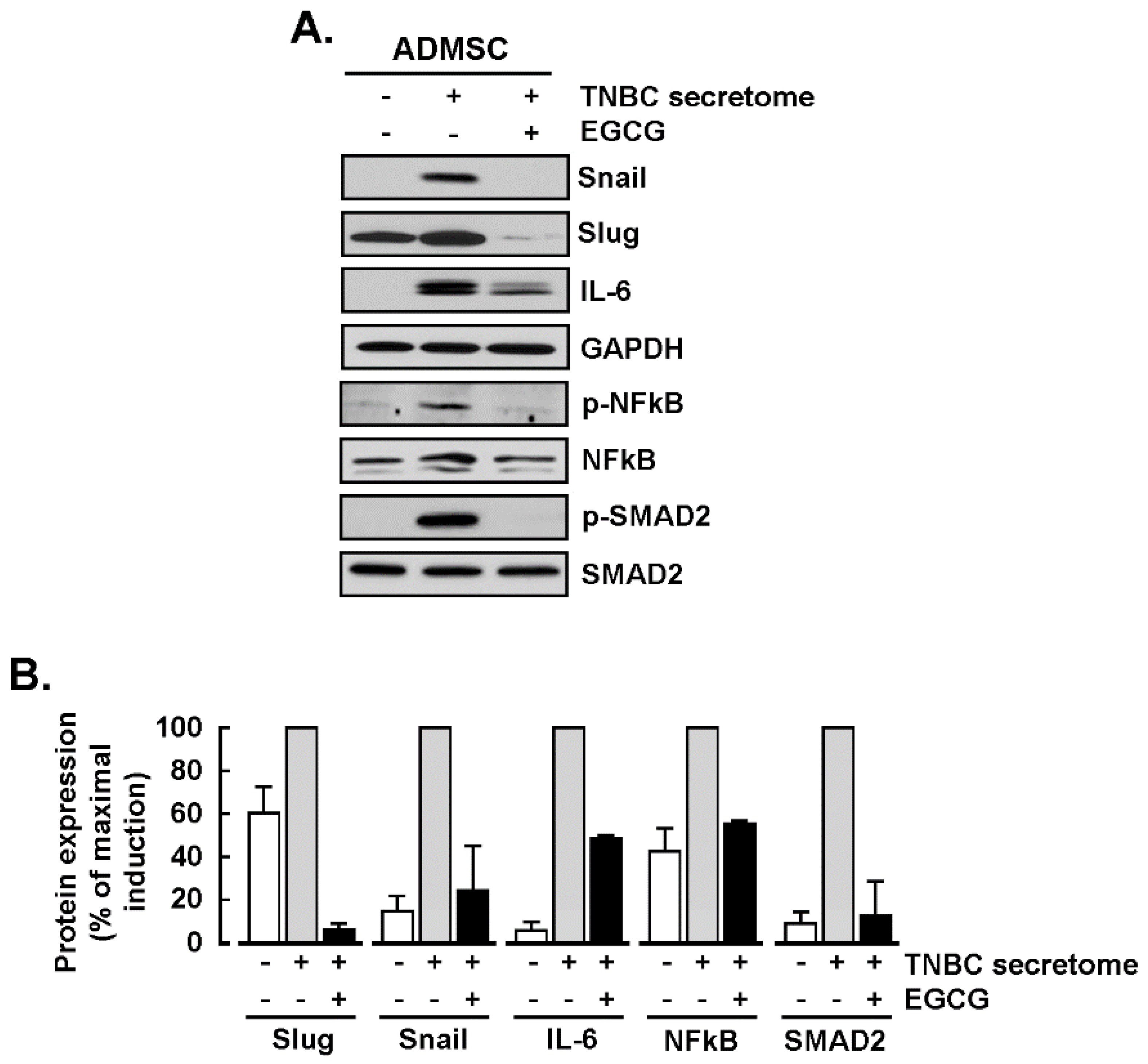 Nutrients 14 01099 g003