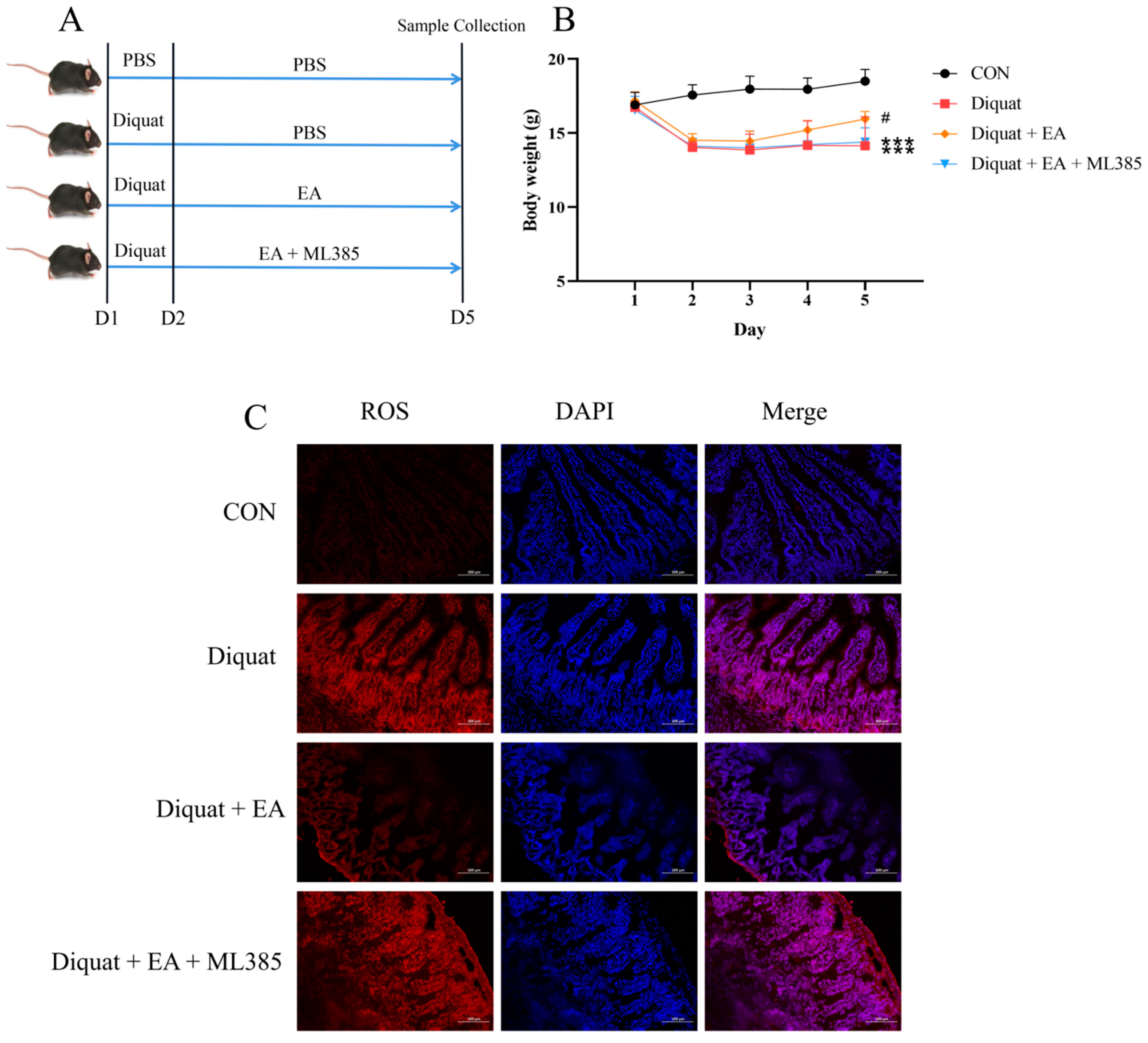 Nutrients 14 01103 g003