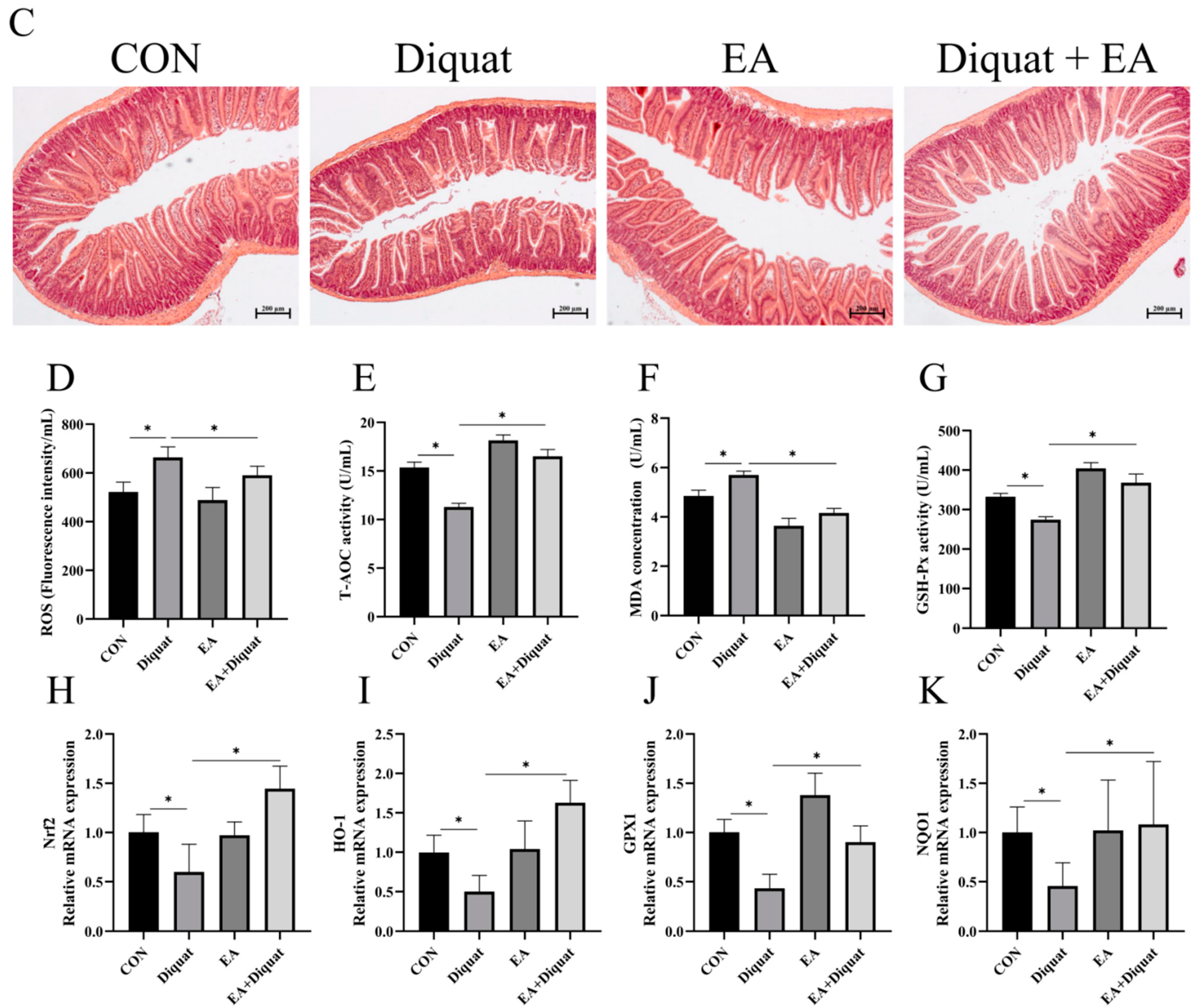 Nutrients 14 01103 g005b