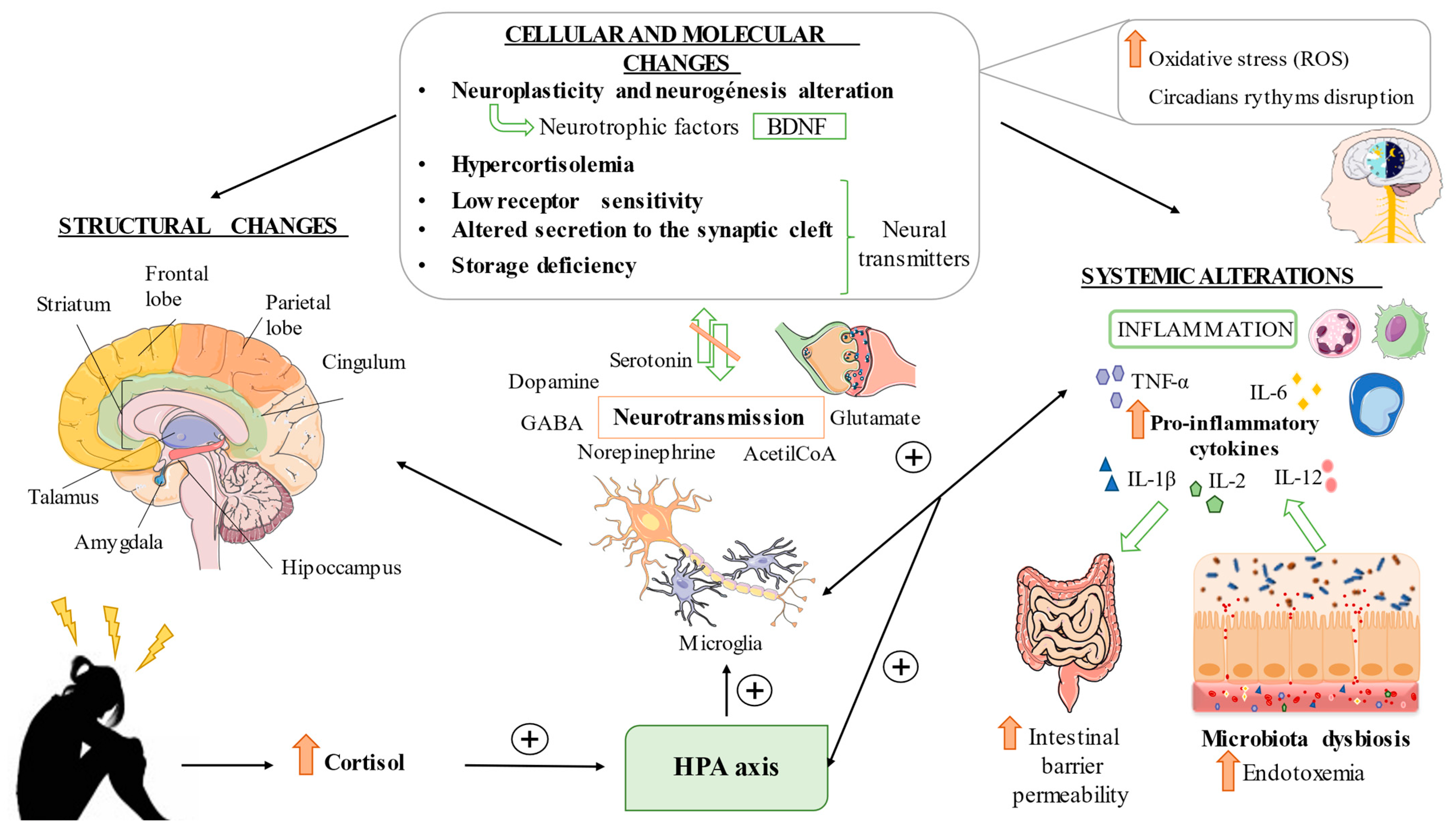 Nutrients 14 01107 g001
