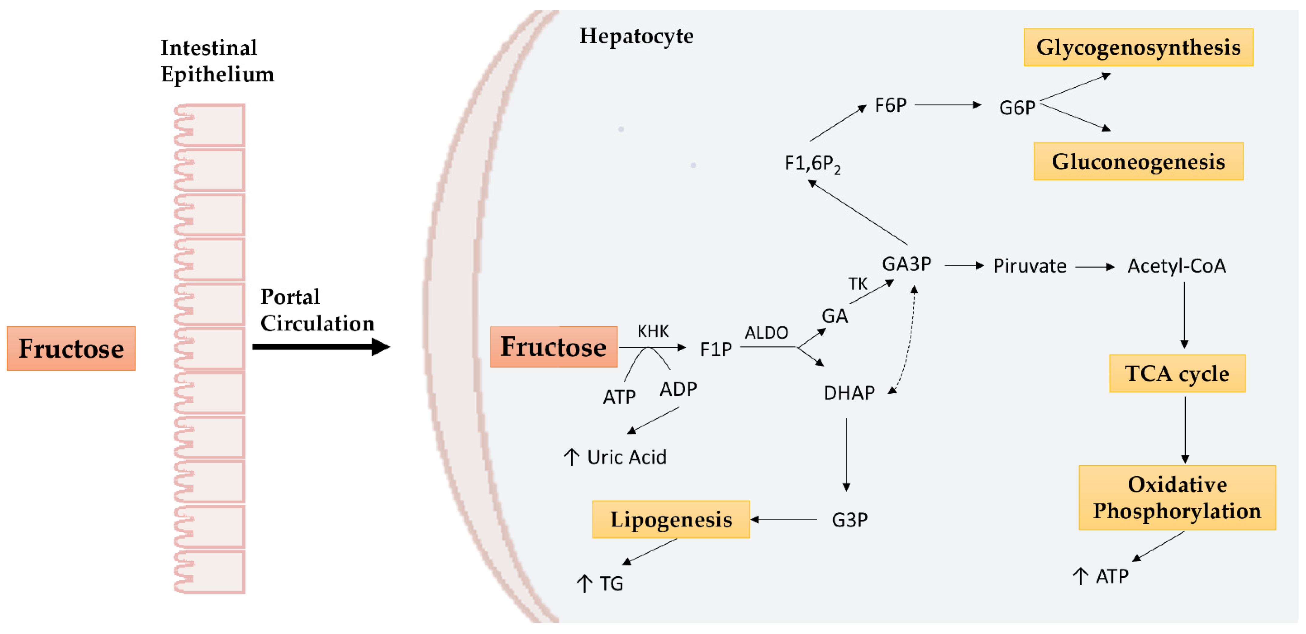 Nutrients 14 01127 g001