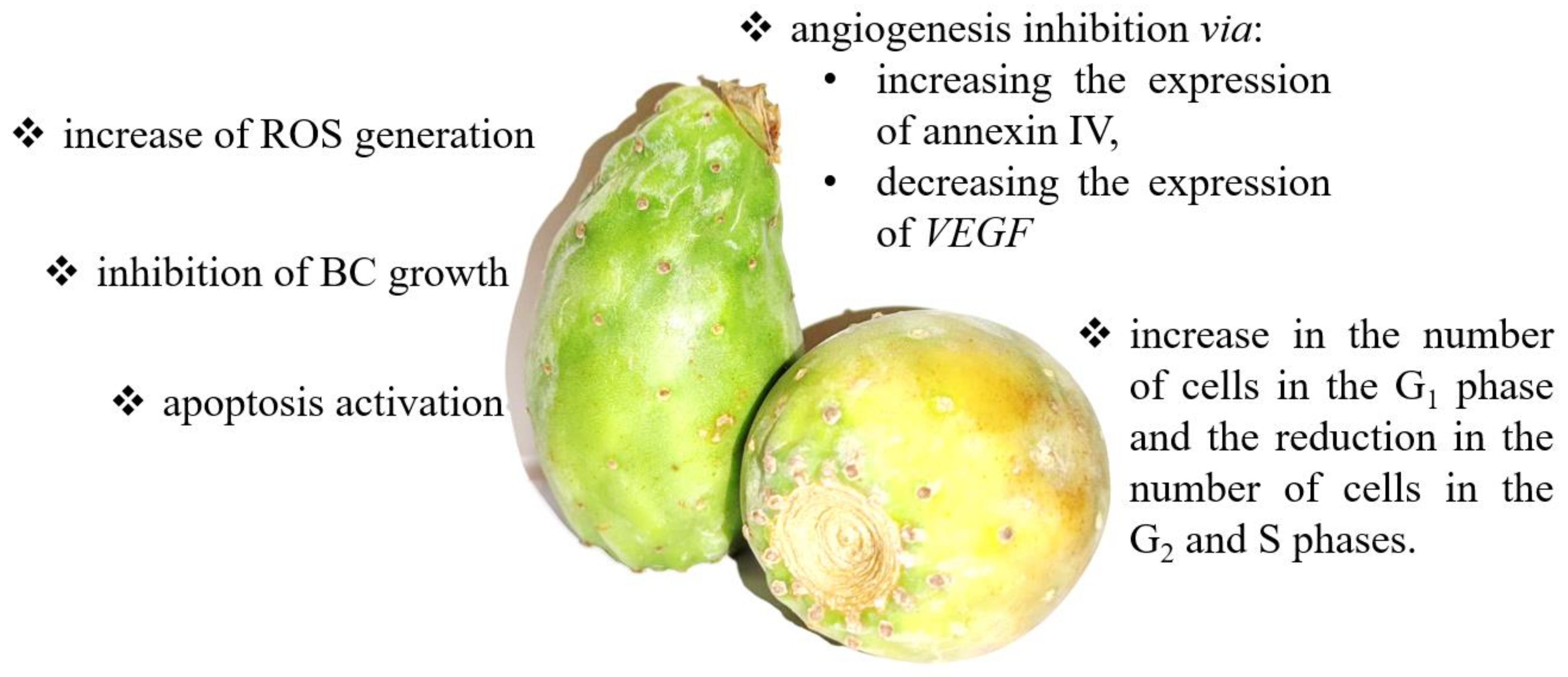 Nutrients 14 01132 g004