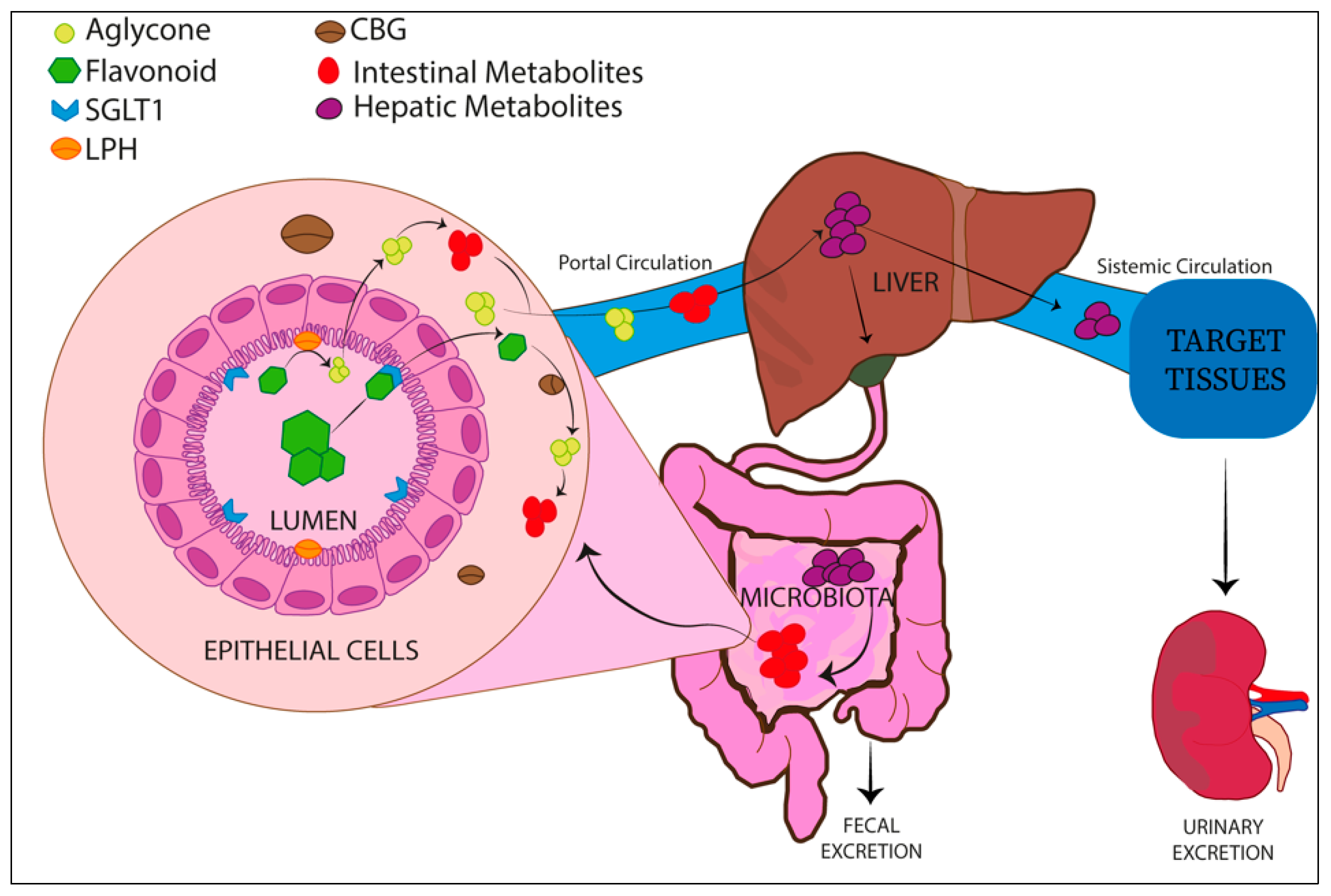 Nutrients 14 01155 g002