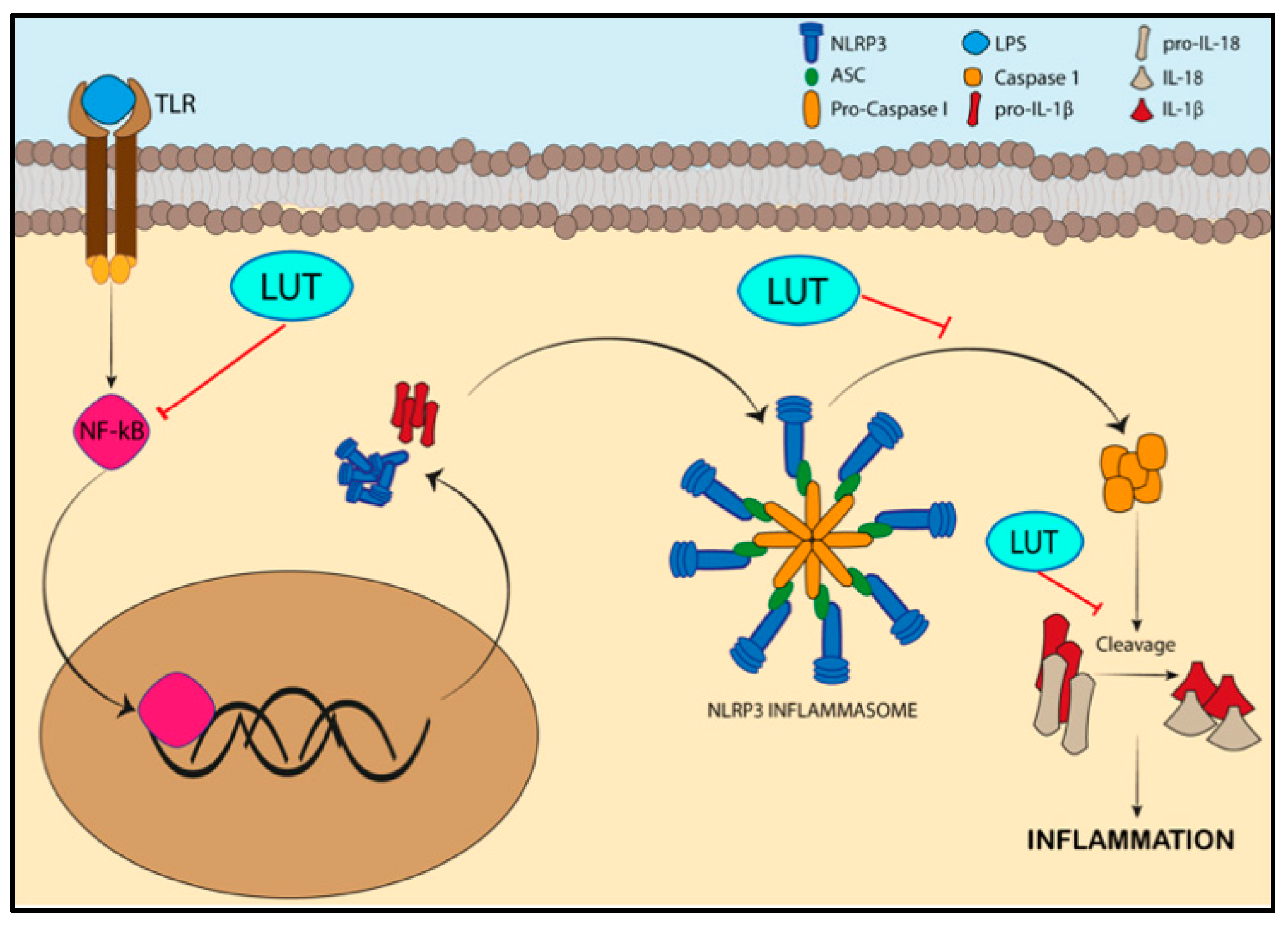 Nutrients 14 01155 g005
