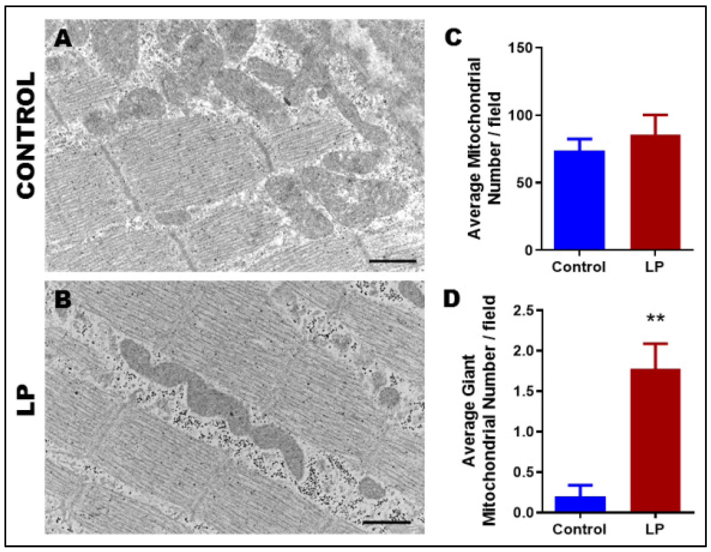 Nutrients 14 01158 g001 Nutrients 14 01158 g001