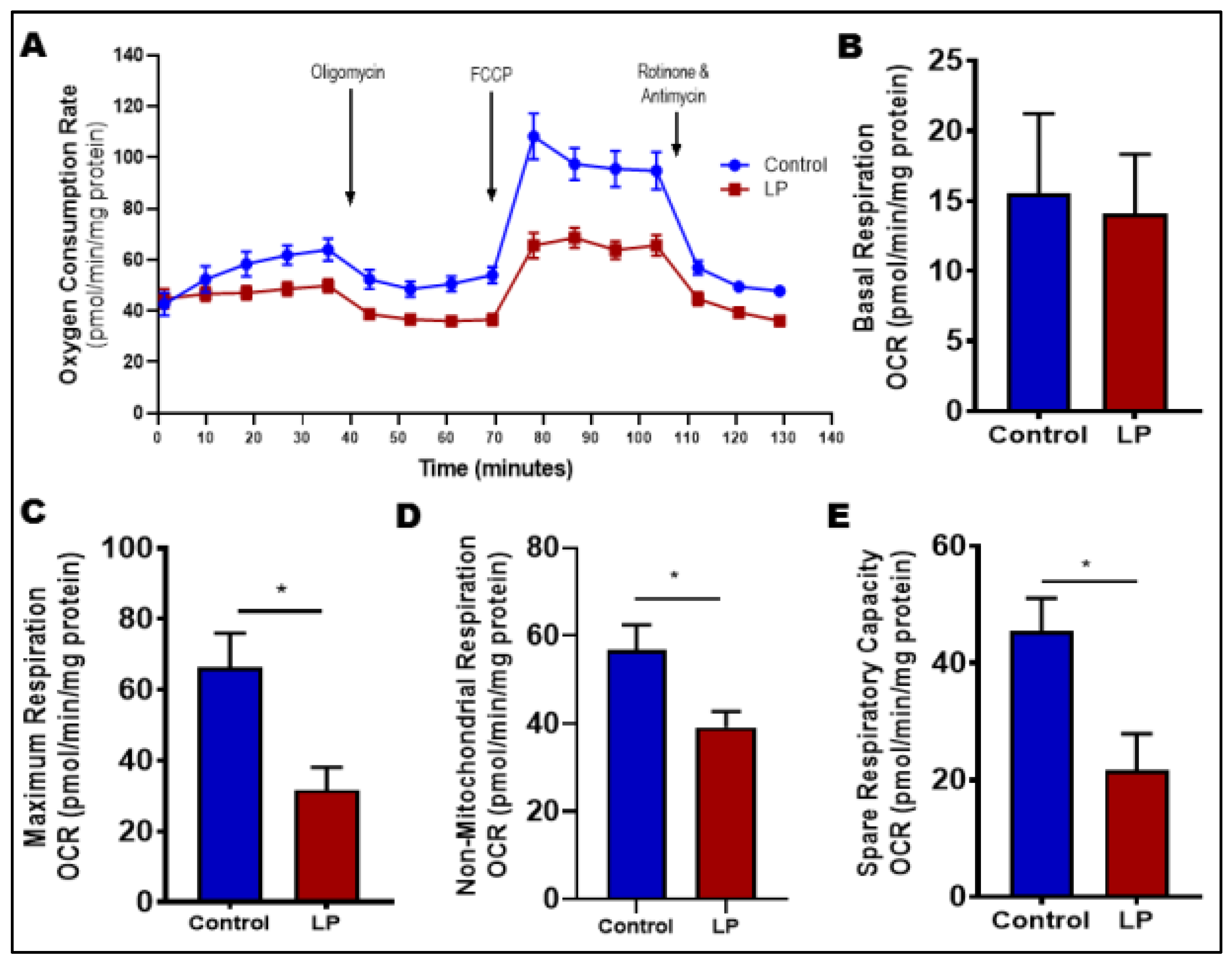 Nutrients 14 01158 g003 Nutrients 14 01158 g003