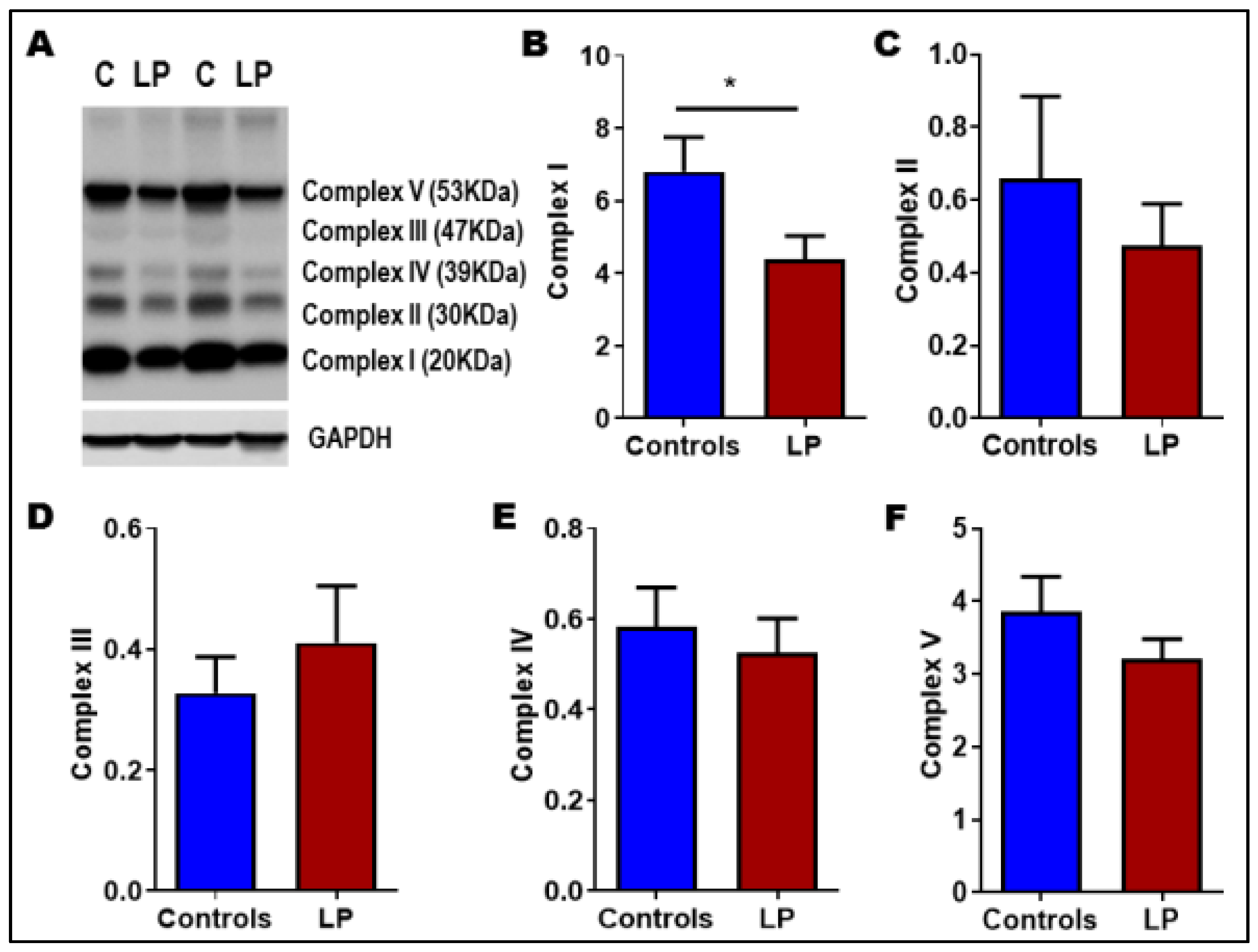 Nutrients 14 01158 g004 Nutrients 14 01158 g004