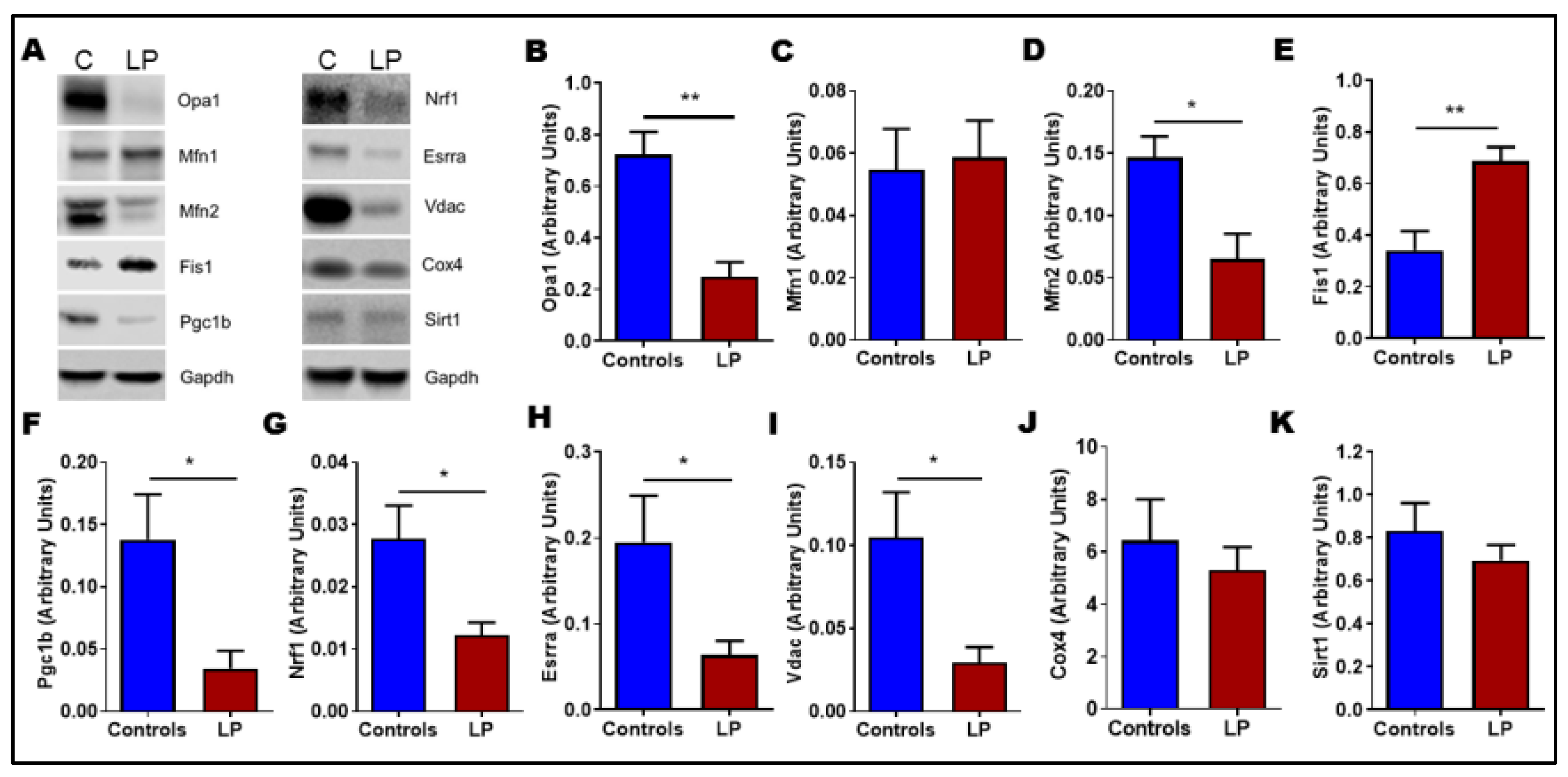 Nutrients 14 01158 g006 Nutrients 14 01158 g006
