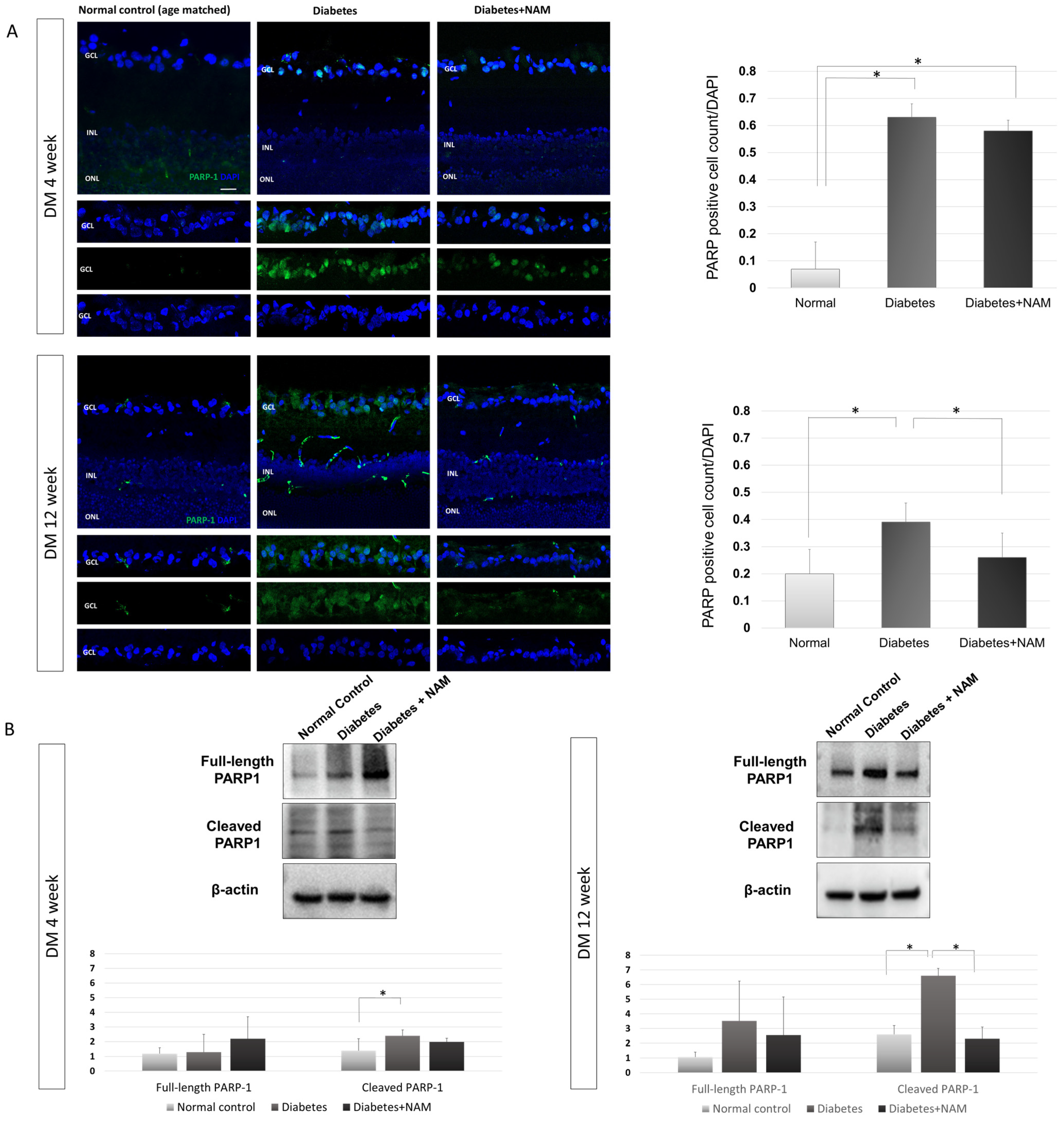 Nutrients 14 01162 g007