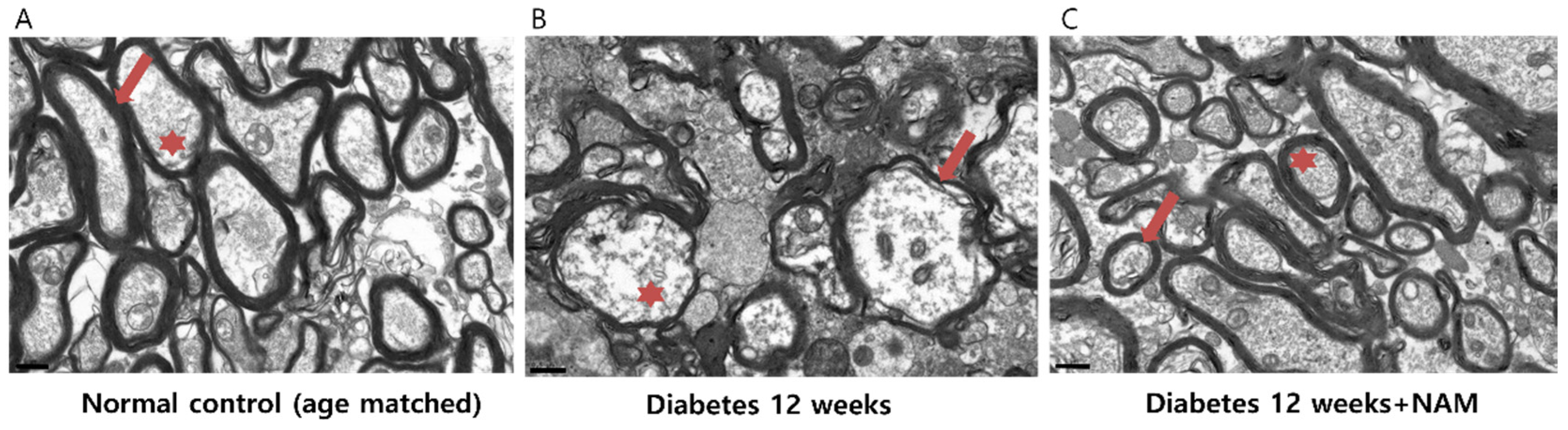 Nutrients 14 01162 g009