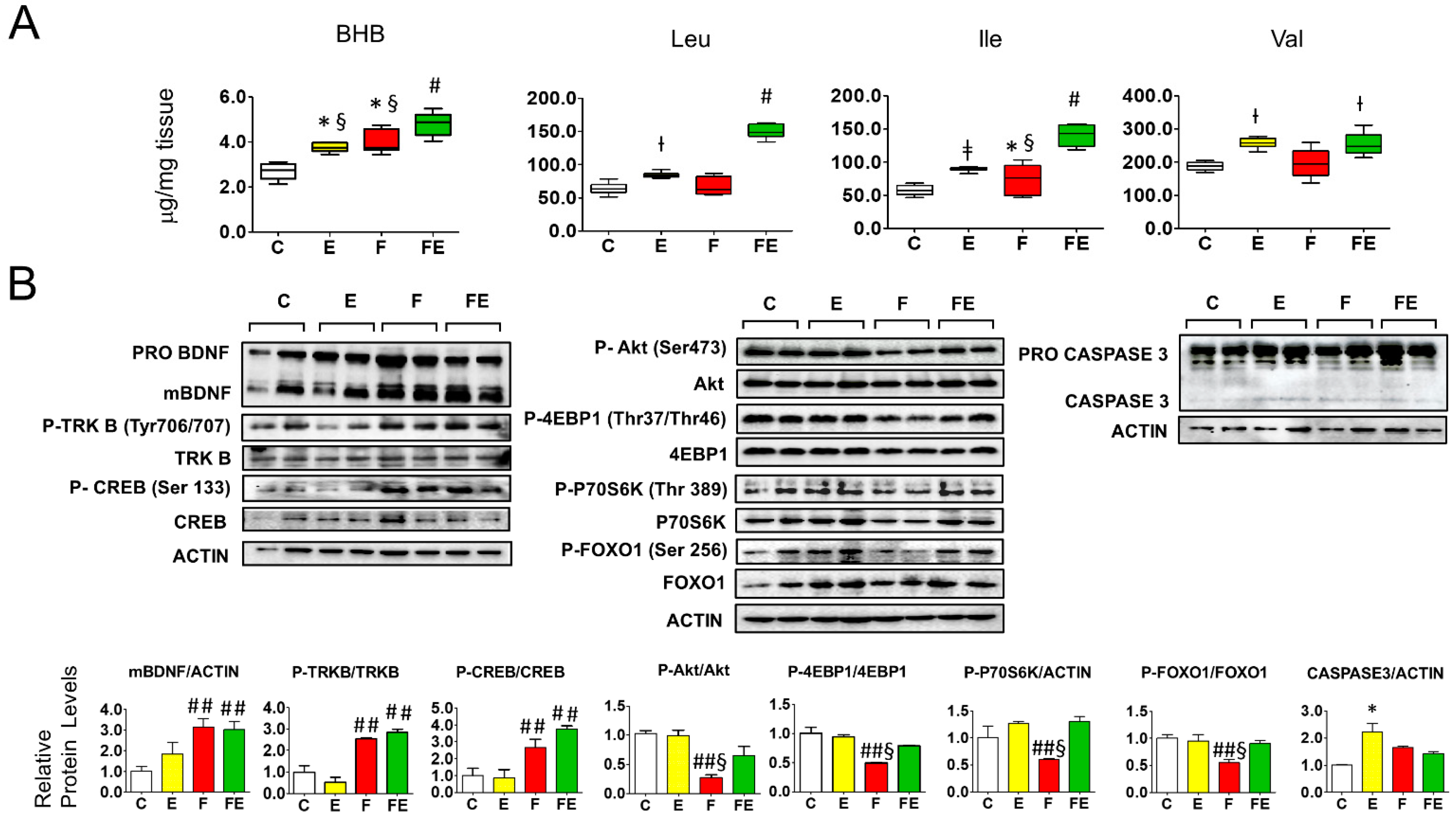 Nutrients 14 01166 g001 Nutrients 14 01166 g001